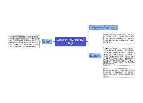 人体能量的摄入量与摄入提示