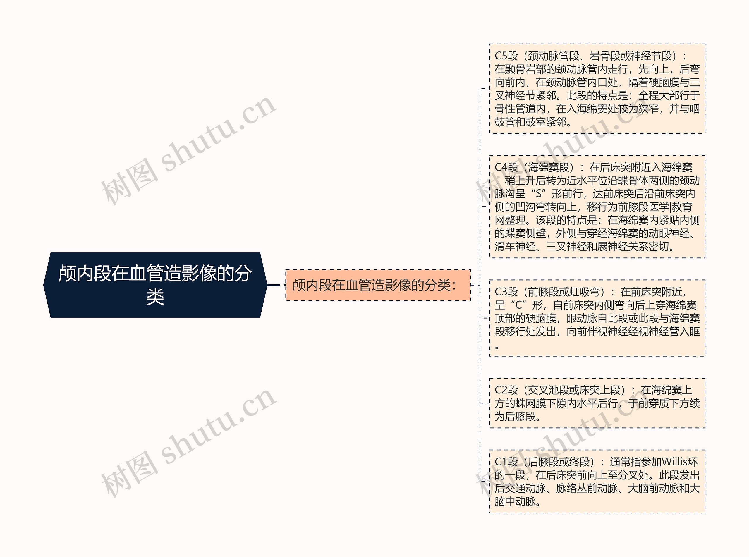 颅内段在血管造影像的分类