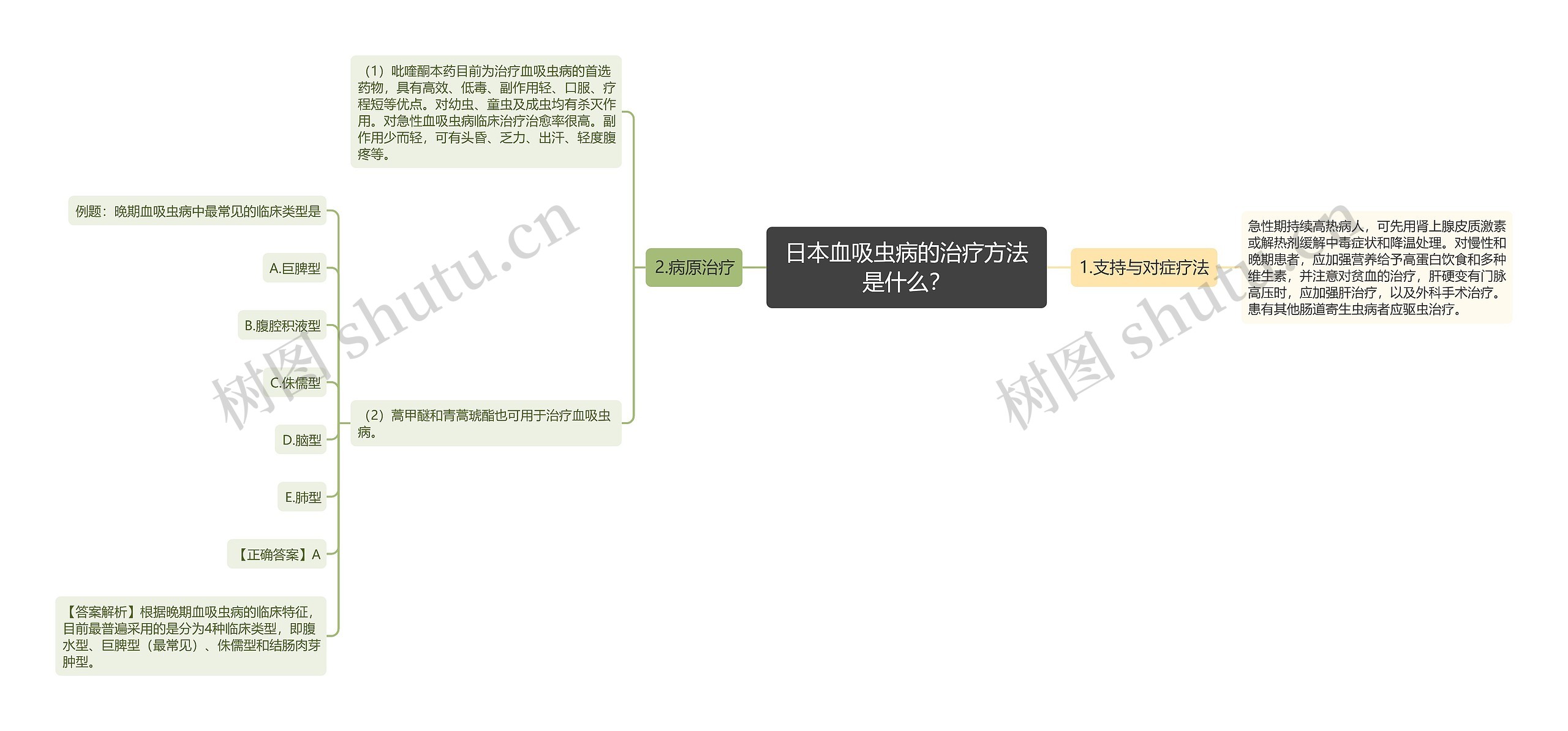 日本血吸虫病的治疗方法是什么？思维导图