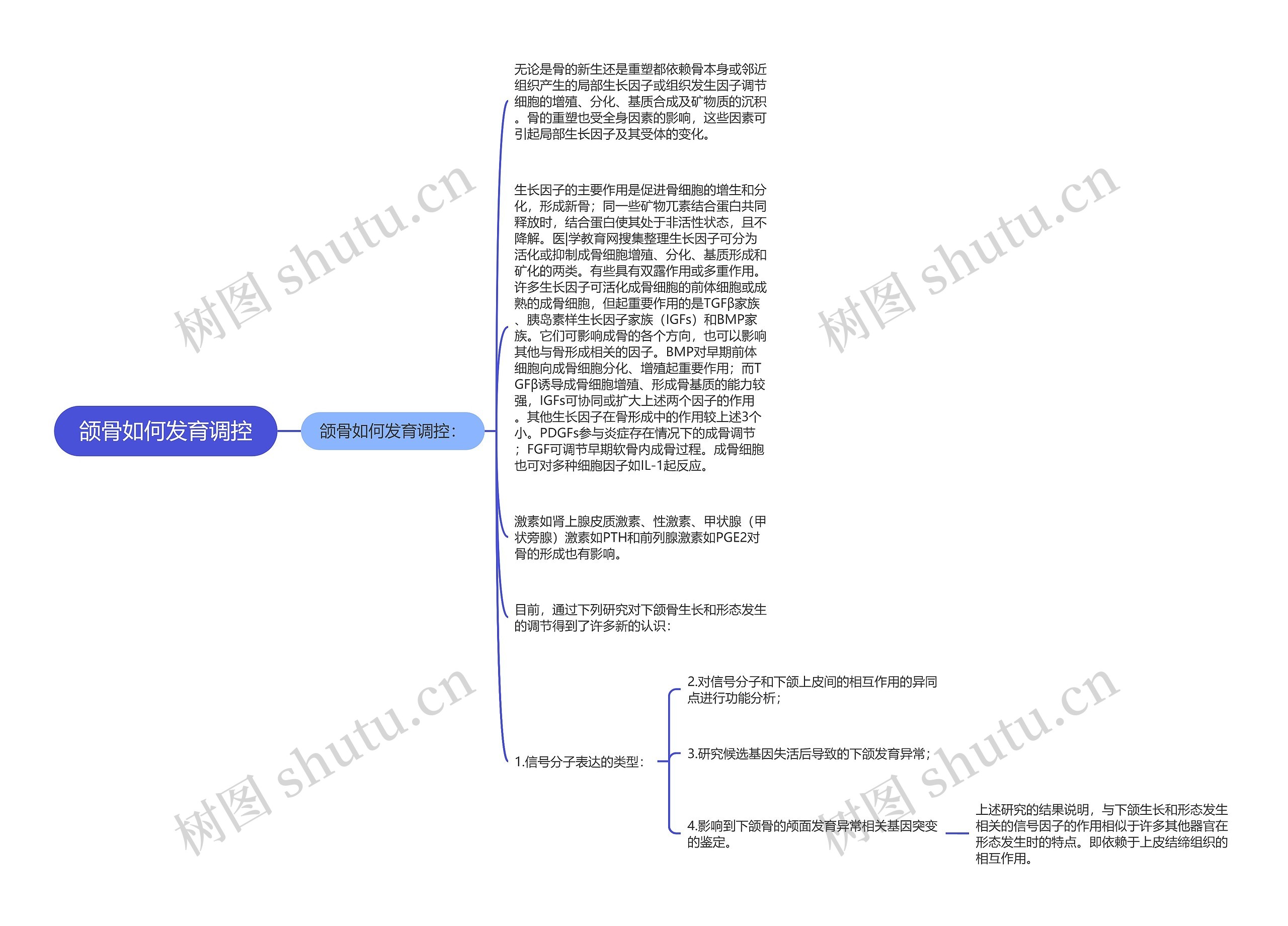 颌骨如何发育调控思维导图