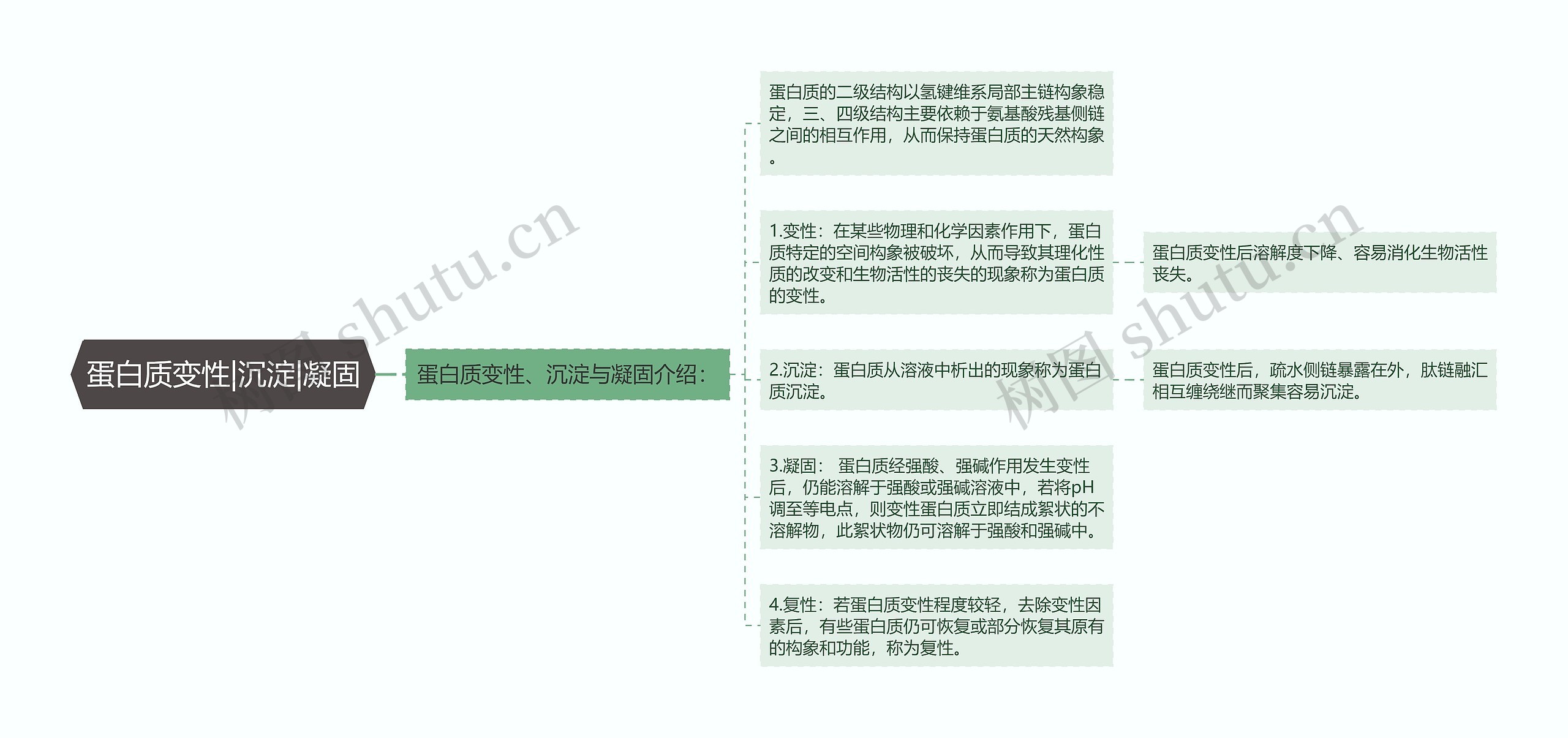 蛋白质变性|沉淀|凝固 蛋白质变性|沉淀|凝固