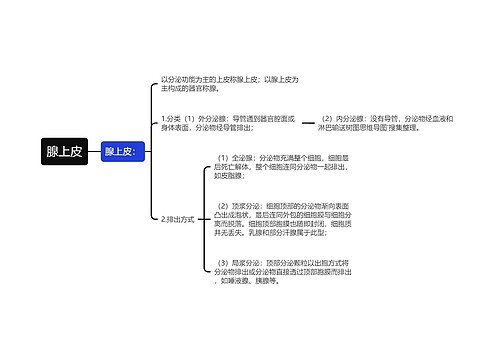 腺上皮