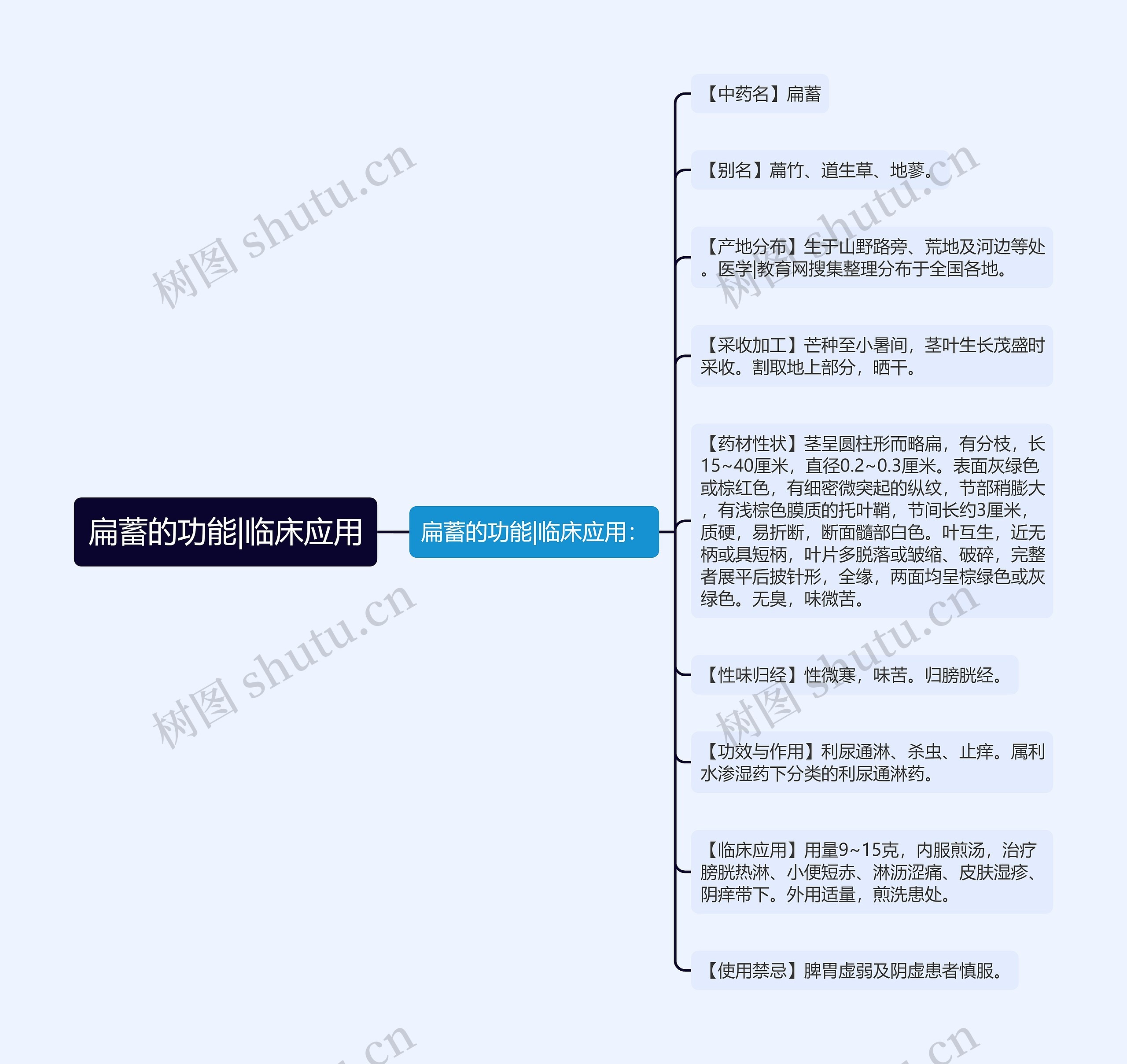 扁蓄的功能|临床应用思维导图