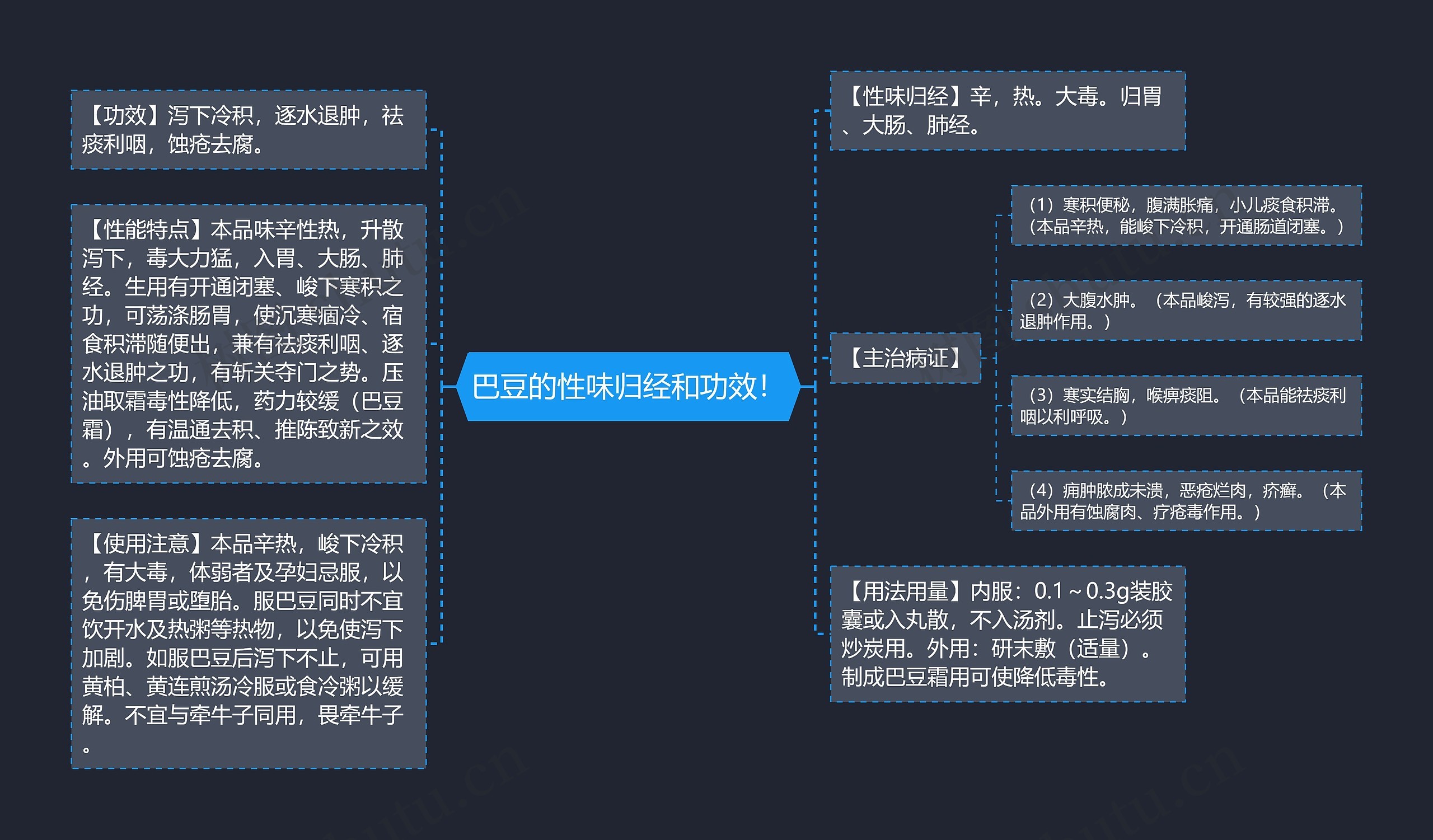 巴豆的性味归经和功效! 巴豆的性味归经和功效!