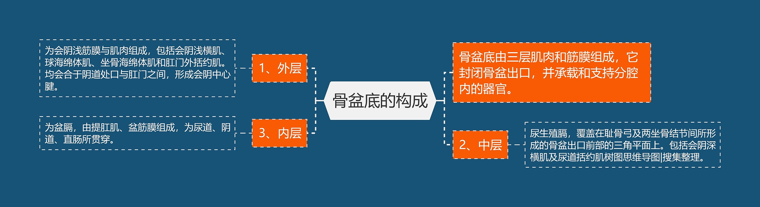 骨盆底的构成 骨盆底的构成