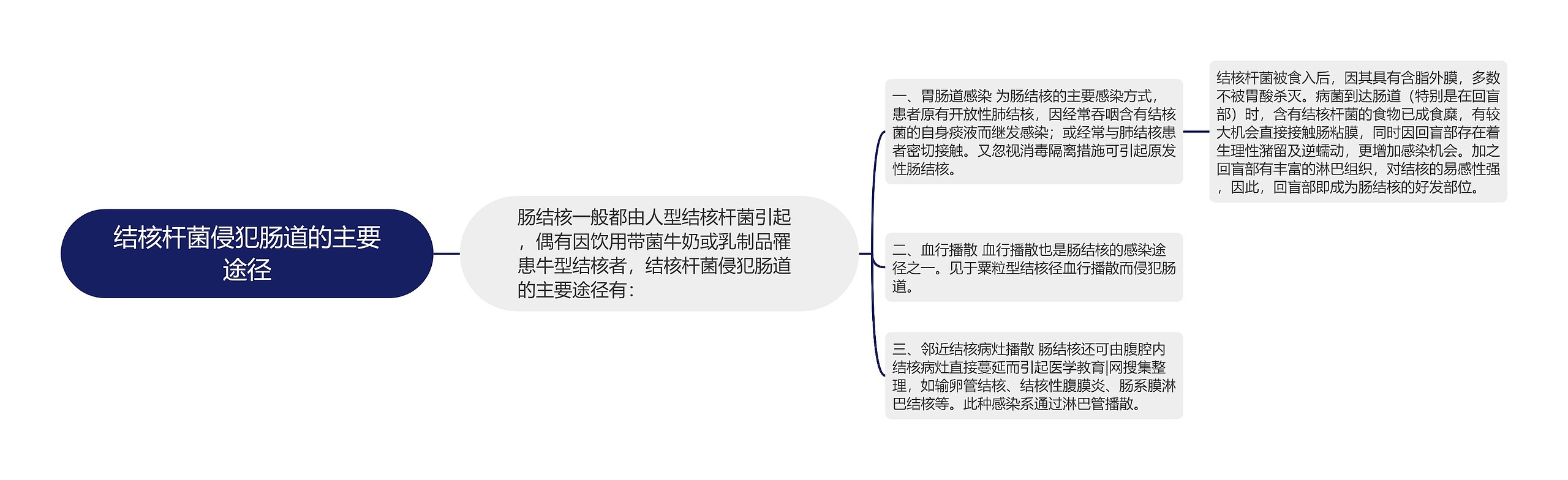 结核杆菌侵犯肠道的主要途径