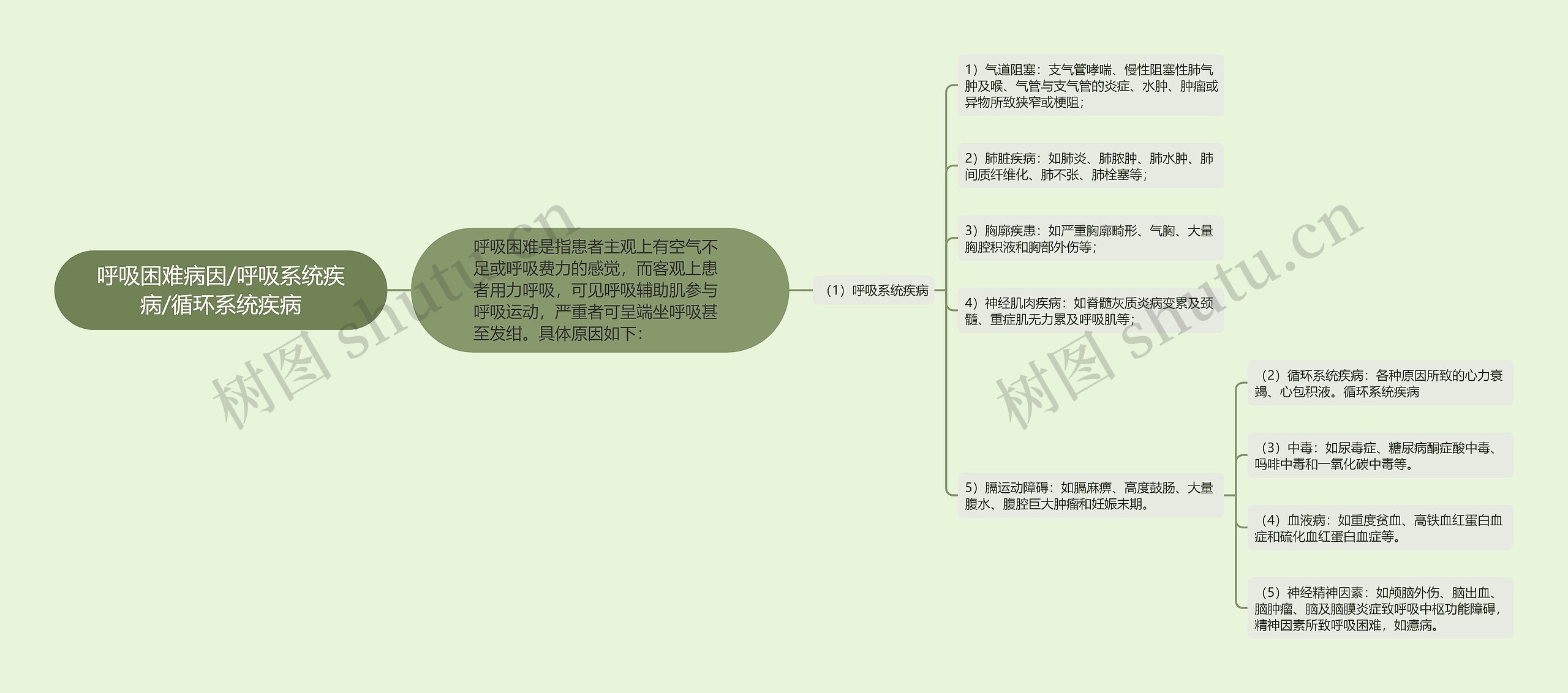 呼吸困难病因/呼吸系统疾病/循环系统疾病思维导图