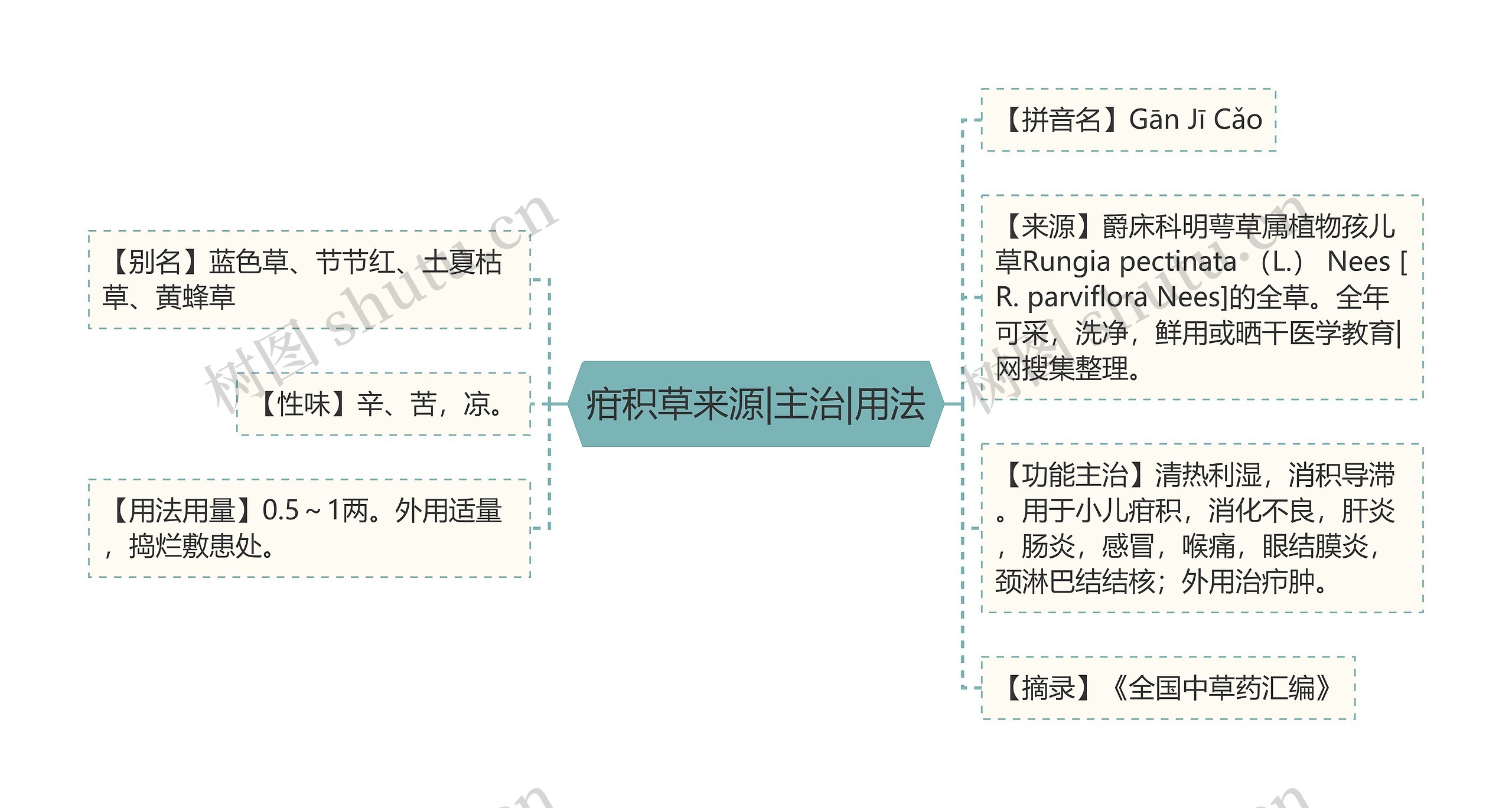疳积草来源|主治|用法