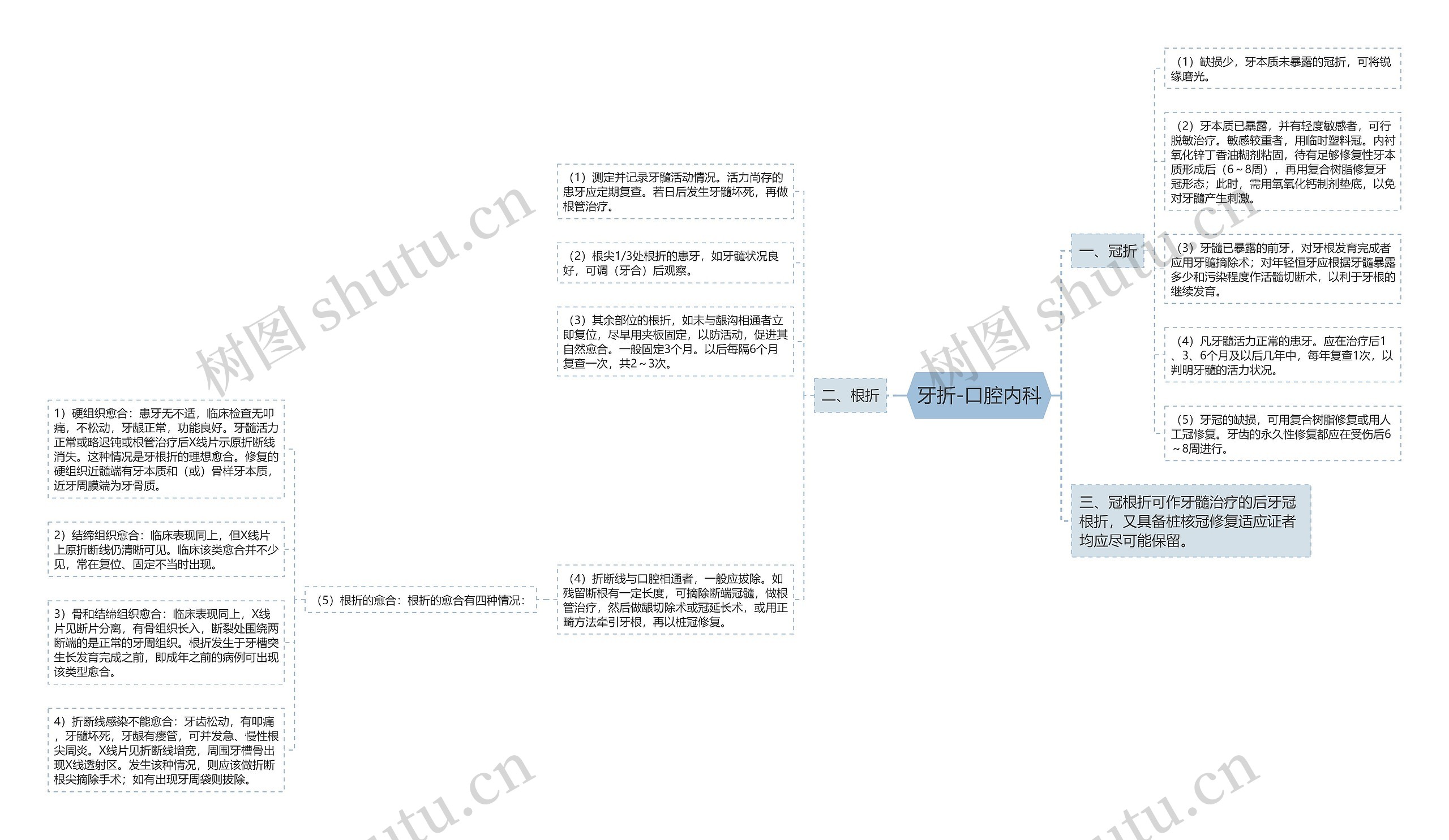 牙折-口腔内科 牙折-口腔内科