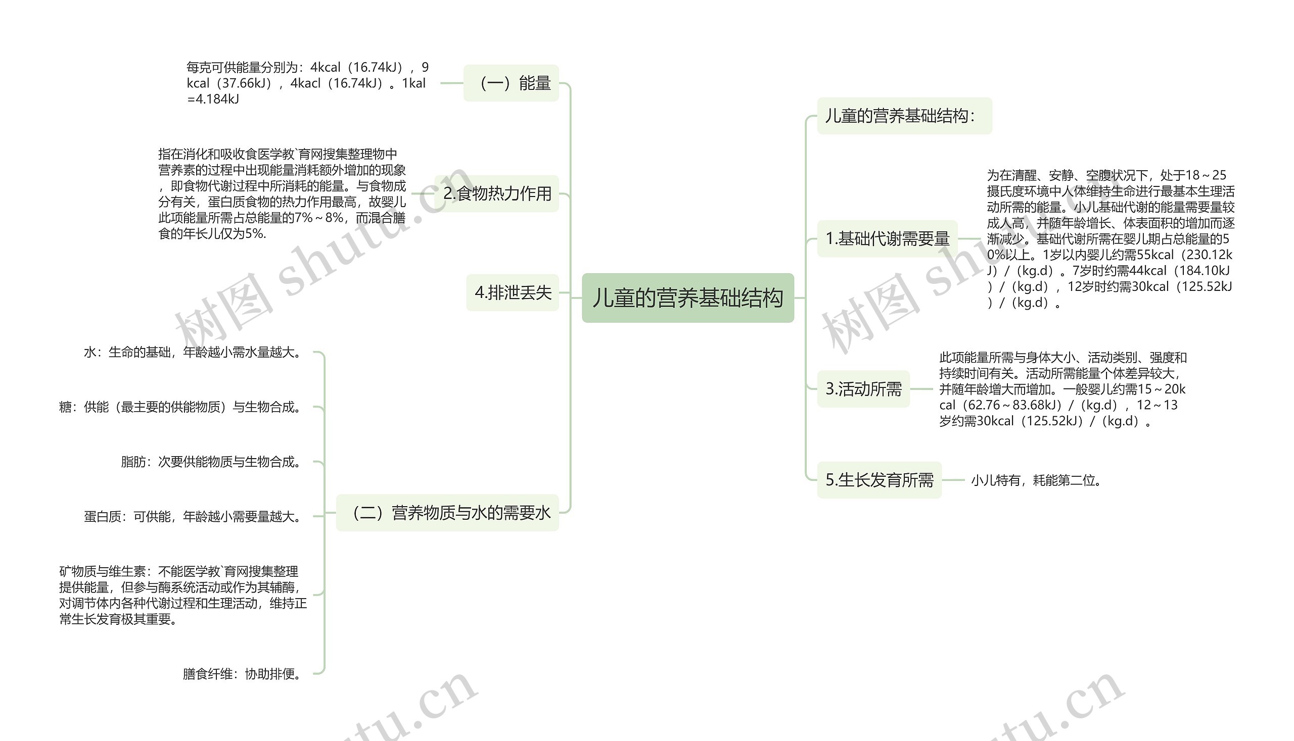 儿童的营养基础结构