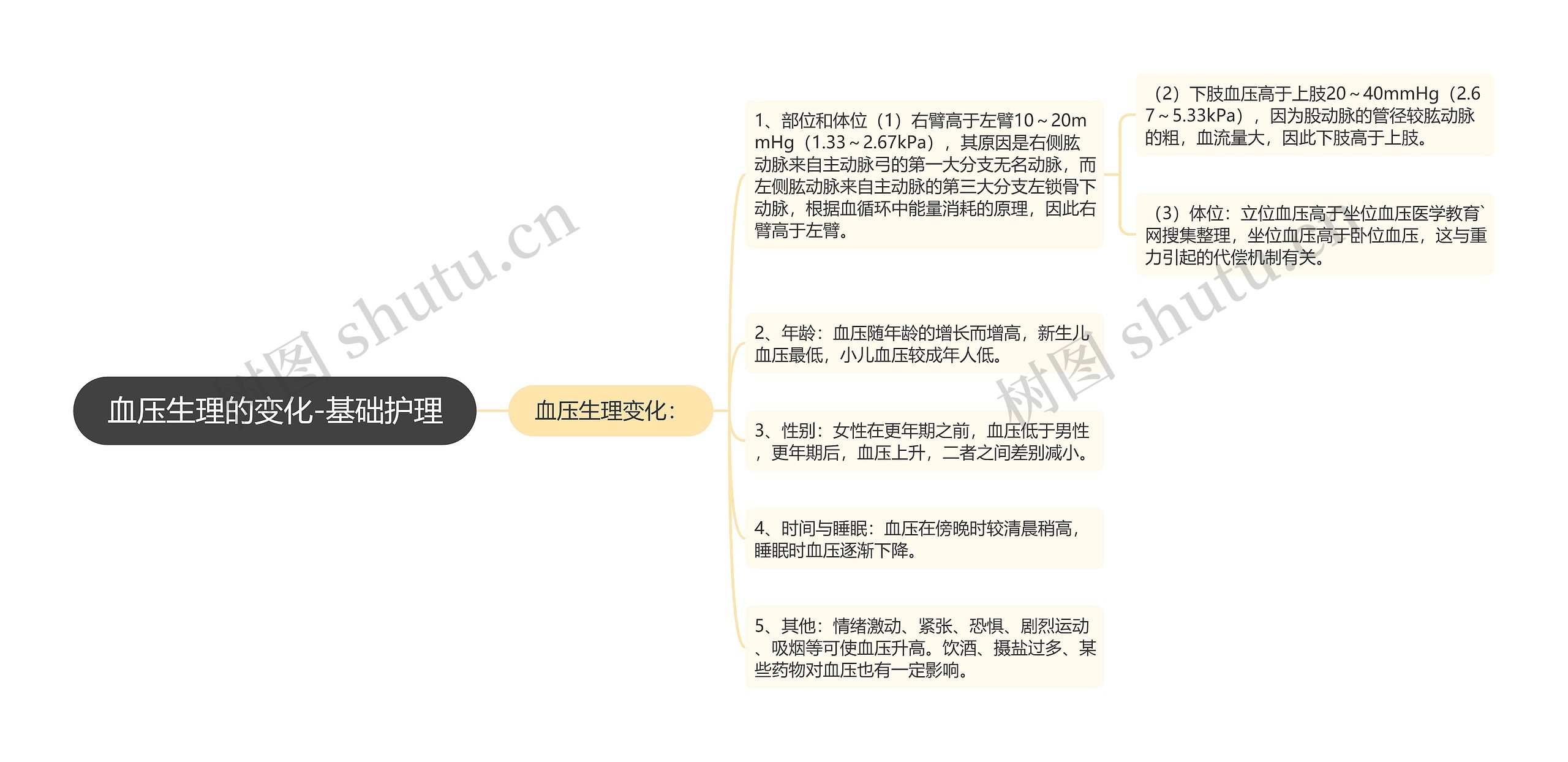 血压生理的变化-基础护理 血压生理的变化-基础护理