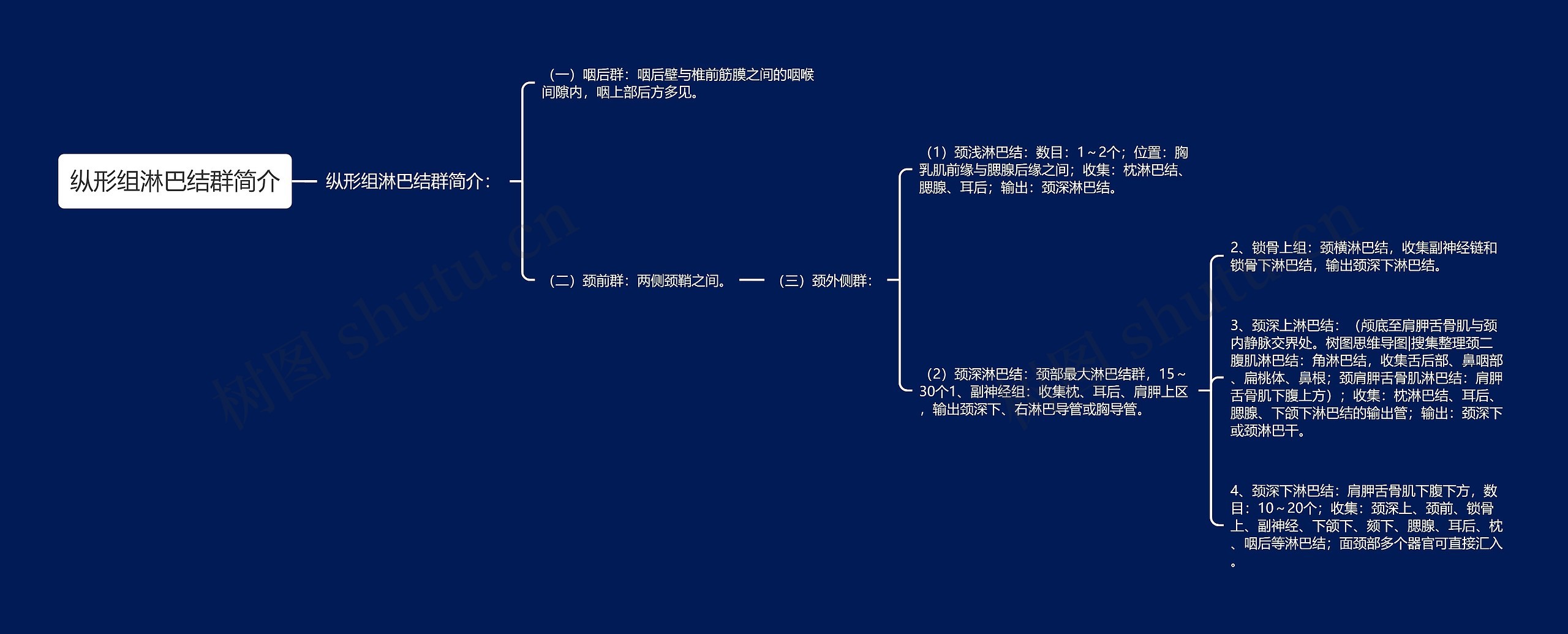 纵形组淋巴结群简介思维导图