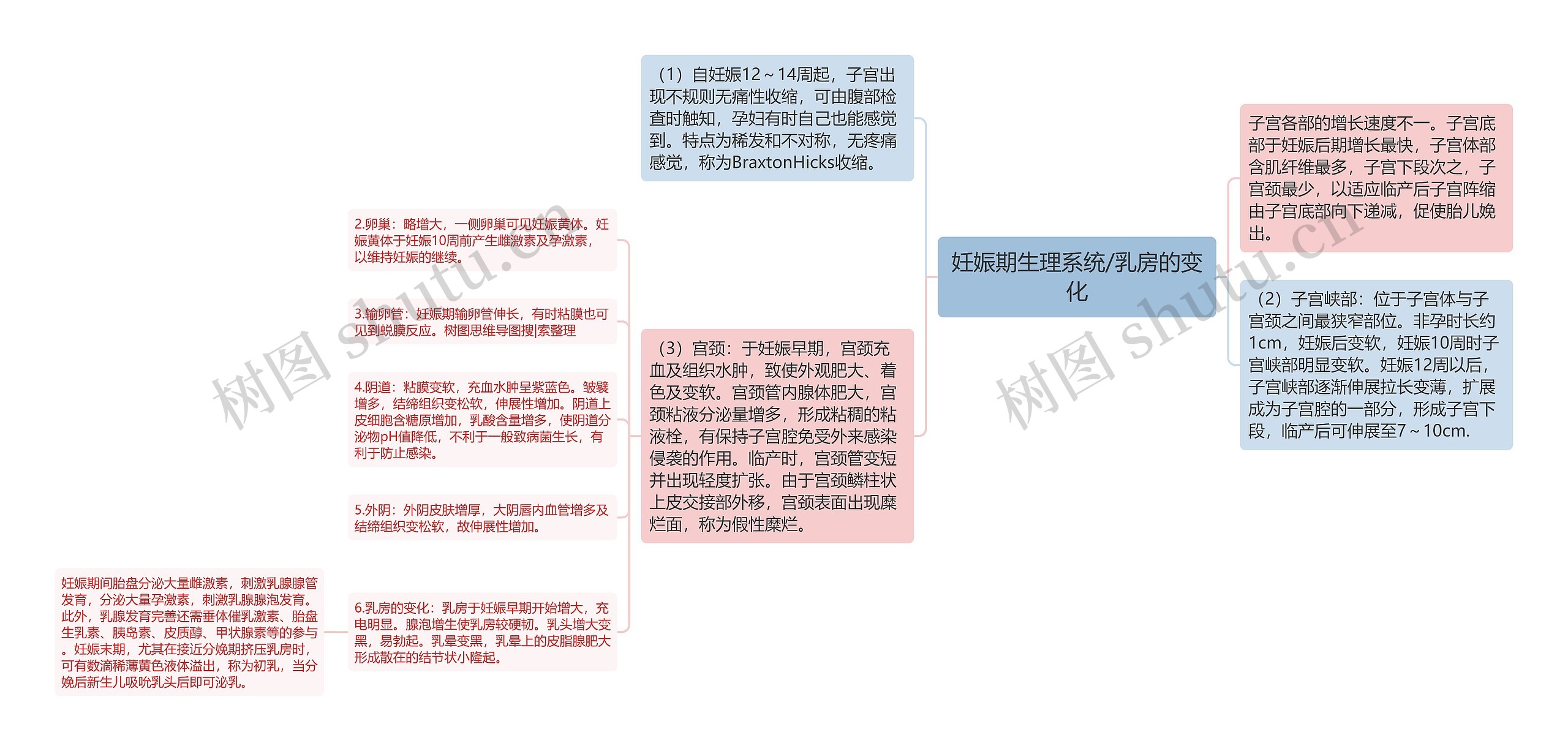 妊娠期生理系统/乳房的变化思维导图