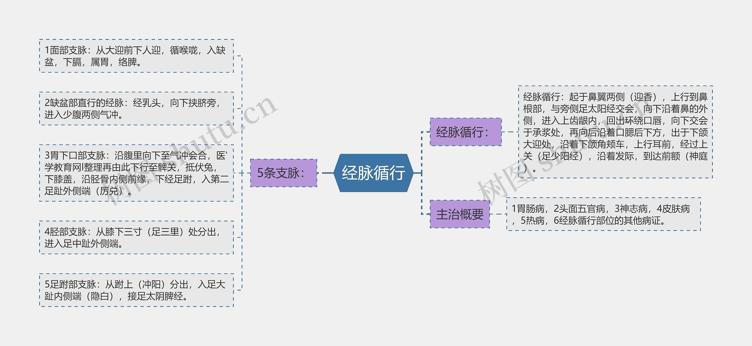 经脉循行思维导图