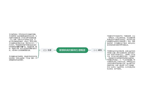 颈部疾病的解剖生理概要