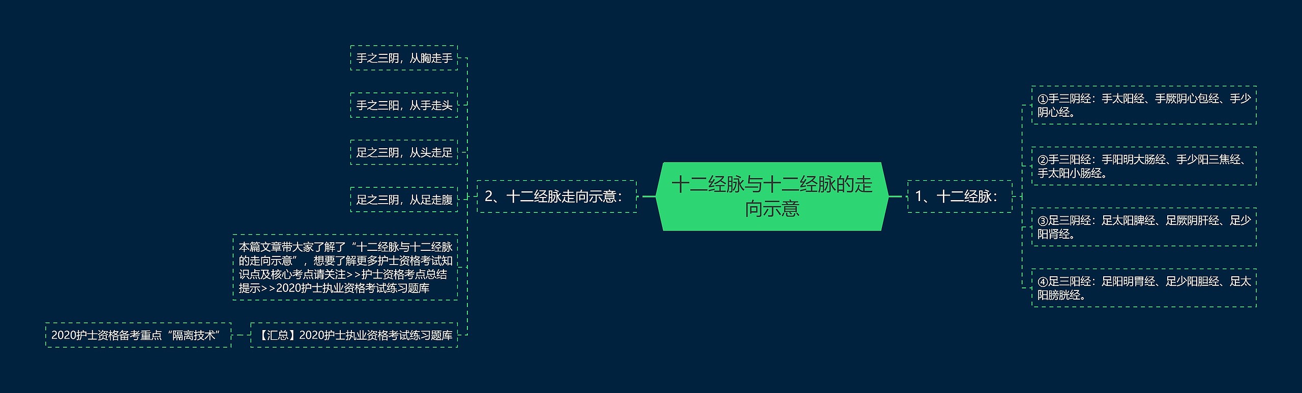 十二经脉与十二经脉的走向示意