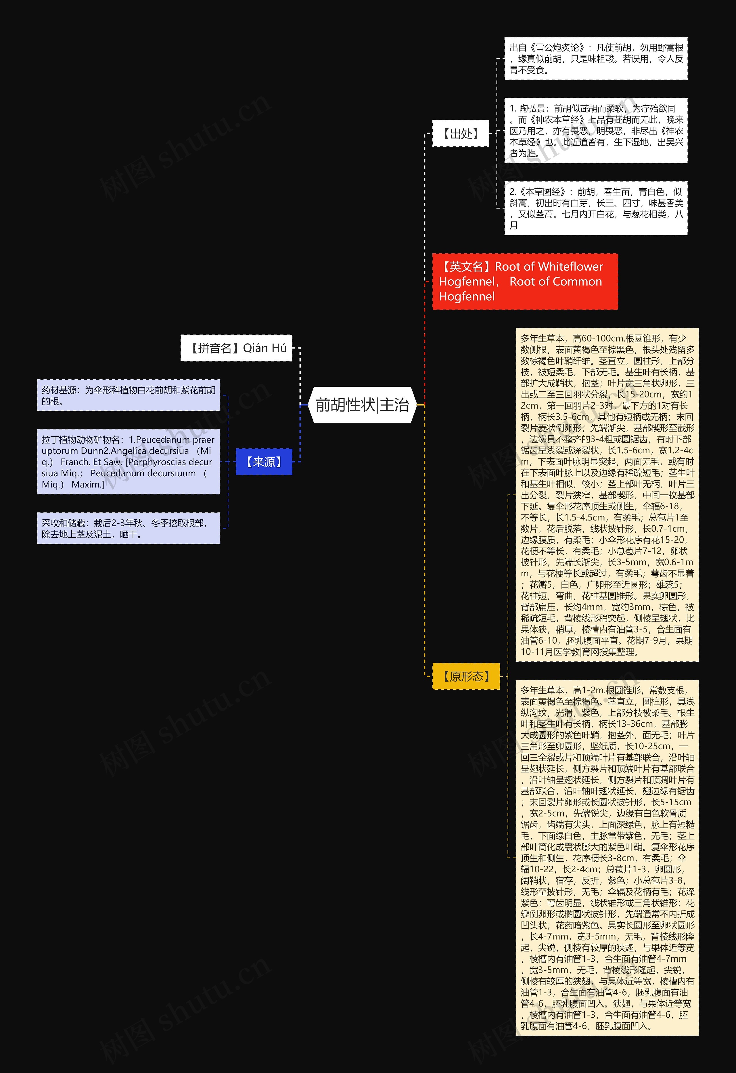 前胡性状|主治思维导图