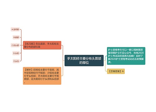 手太阳经主要分布头面部的部位