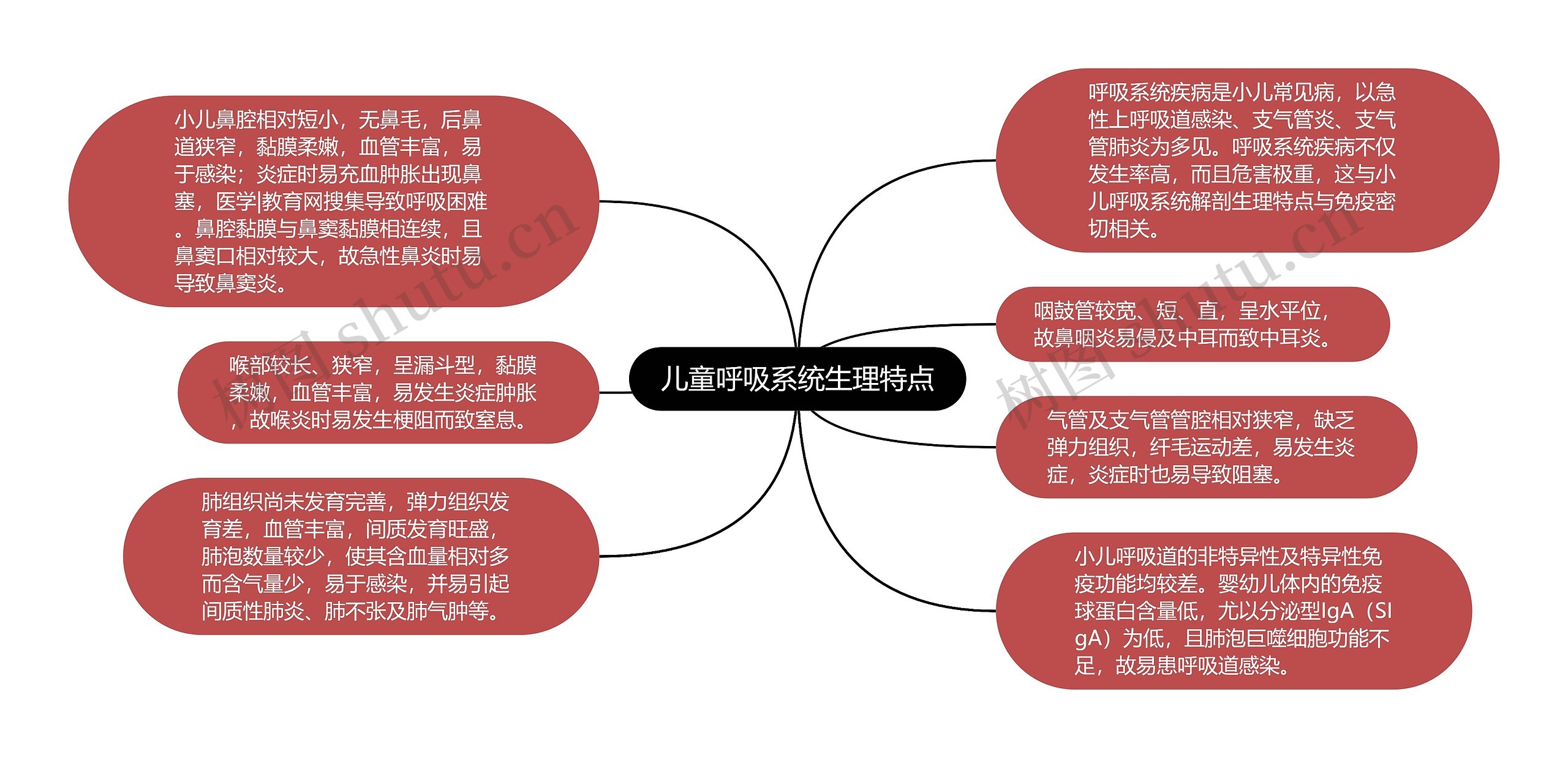 儿童呼吸系统生理特点