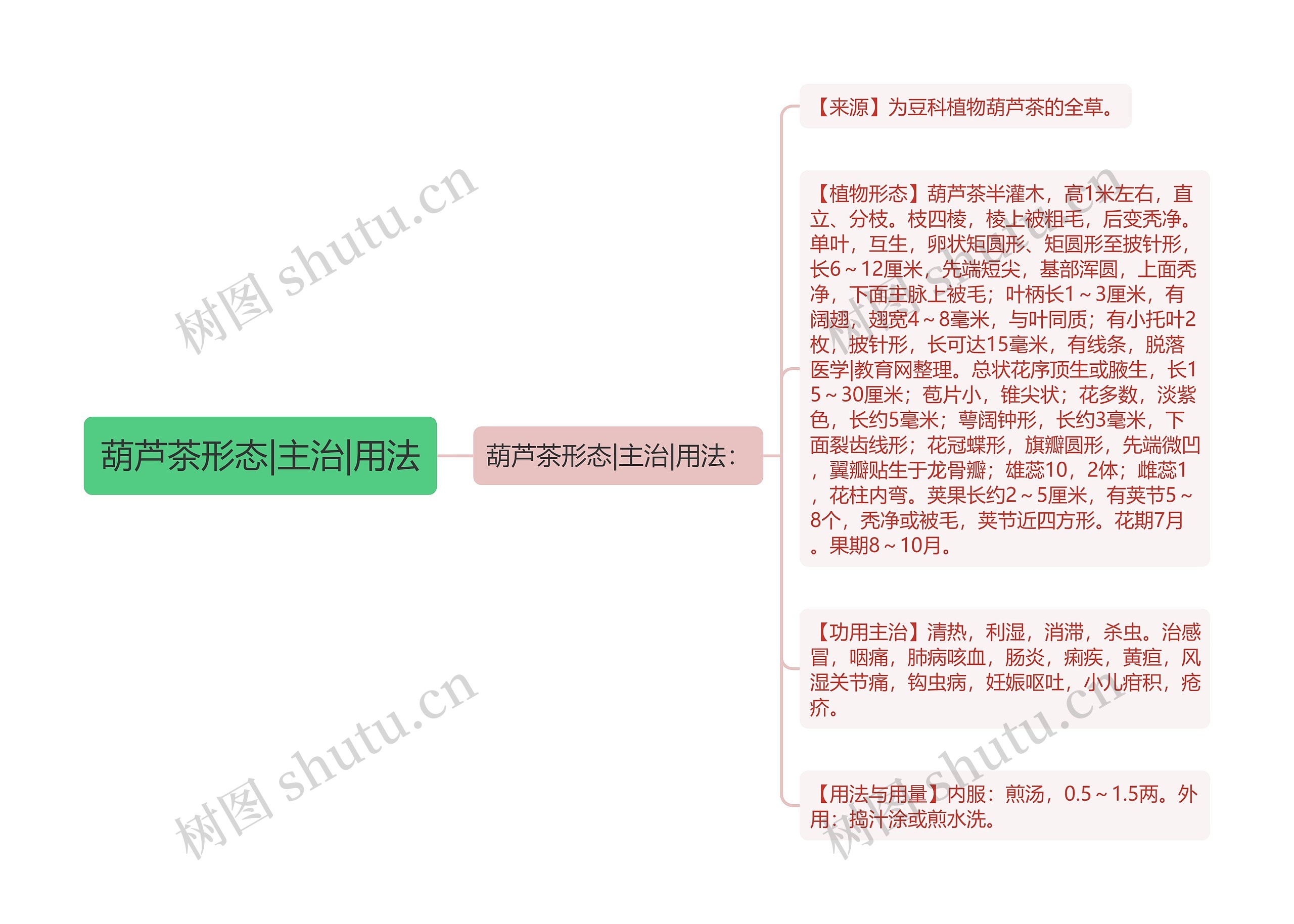 葫芦茶形态|主治|用法思维导图