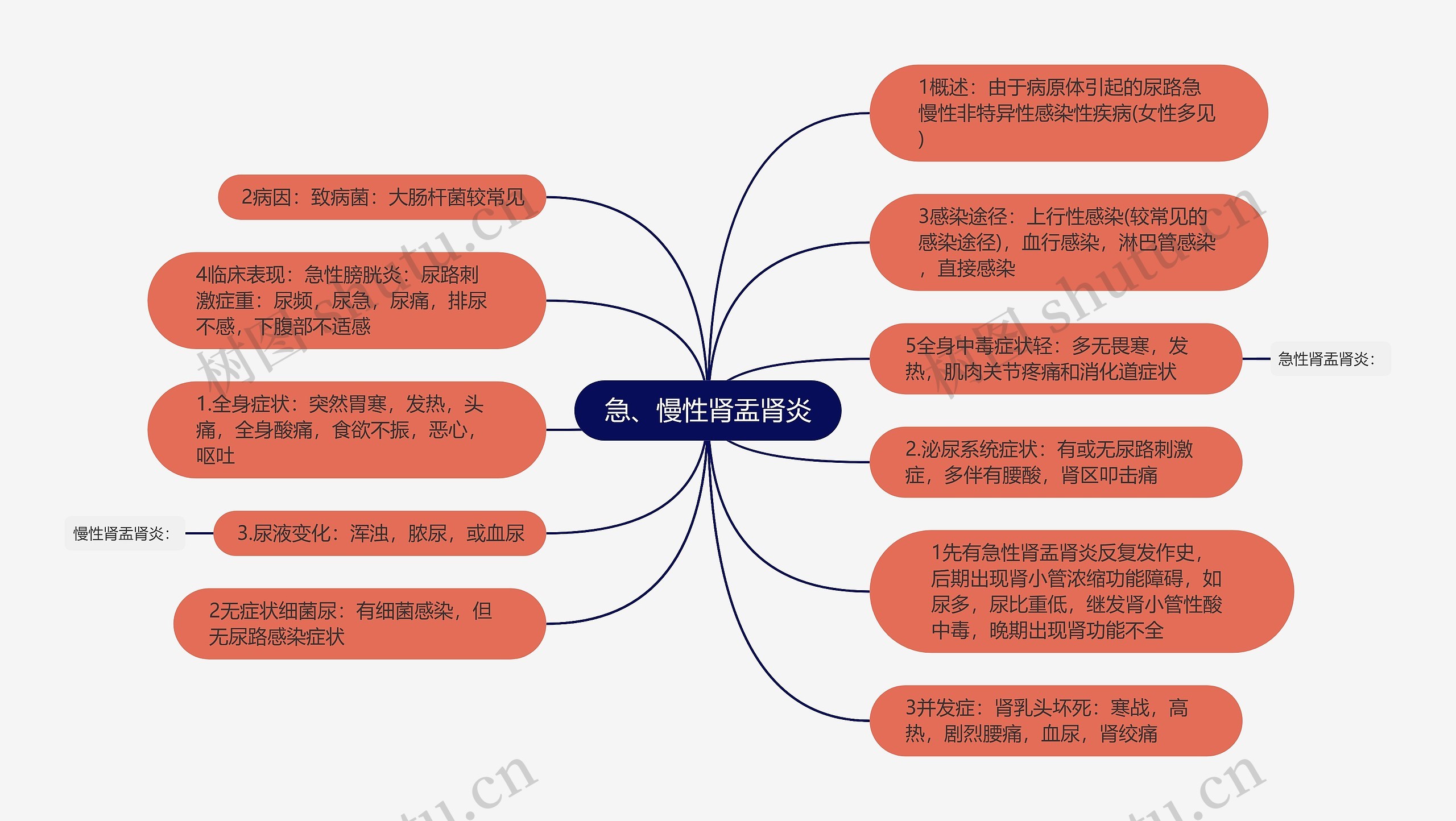 急、慢性肾盂肾炎思维导图