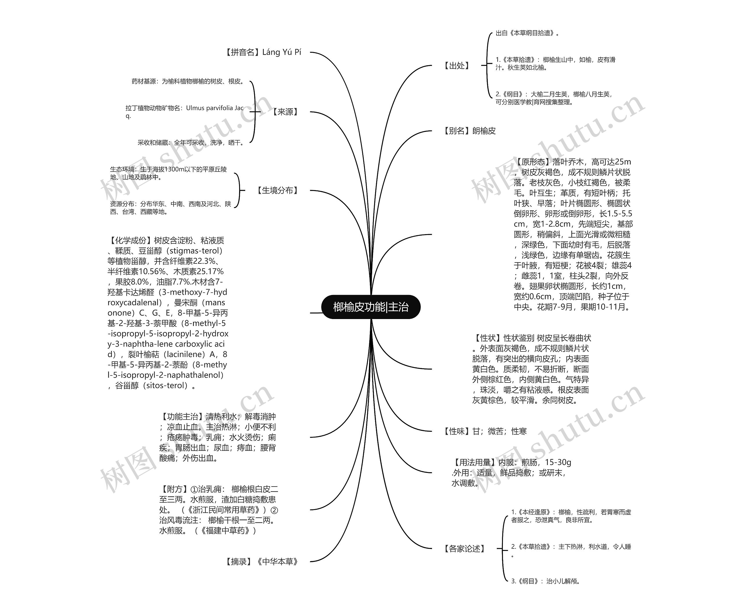 榔榆皮功能|主治思维导图