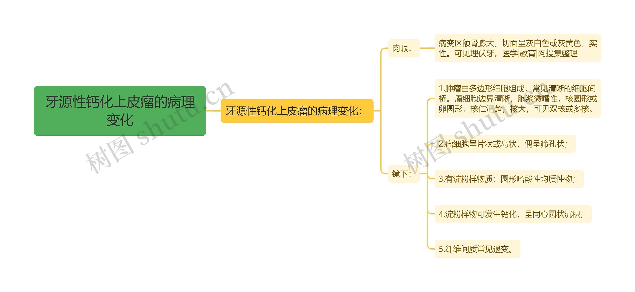 牙源性钙化上皮瘤的病理变化思维导图