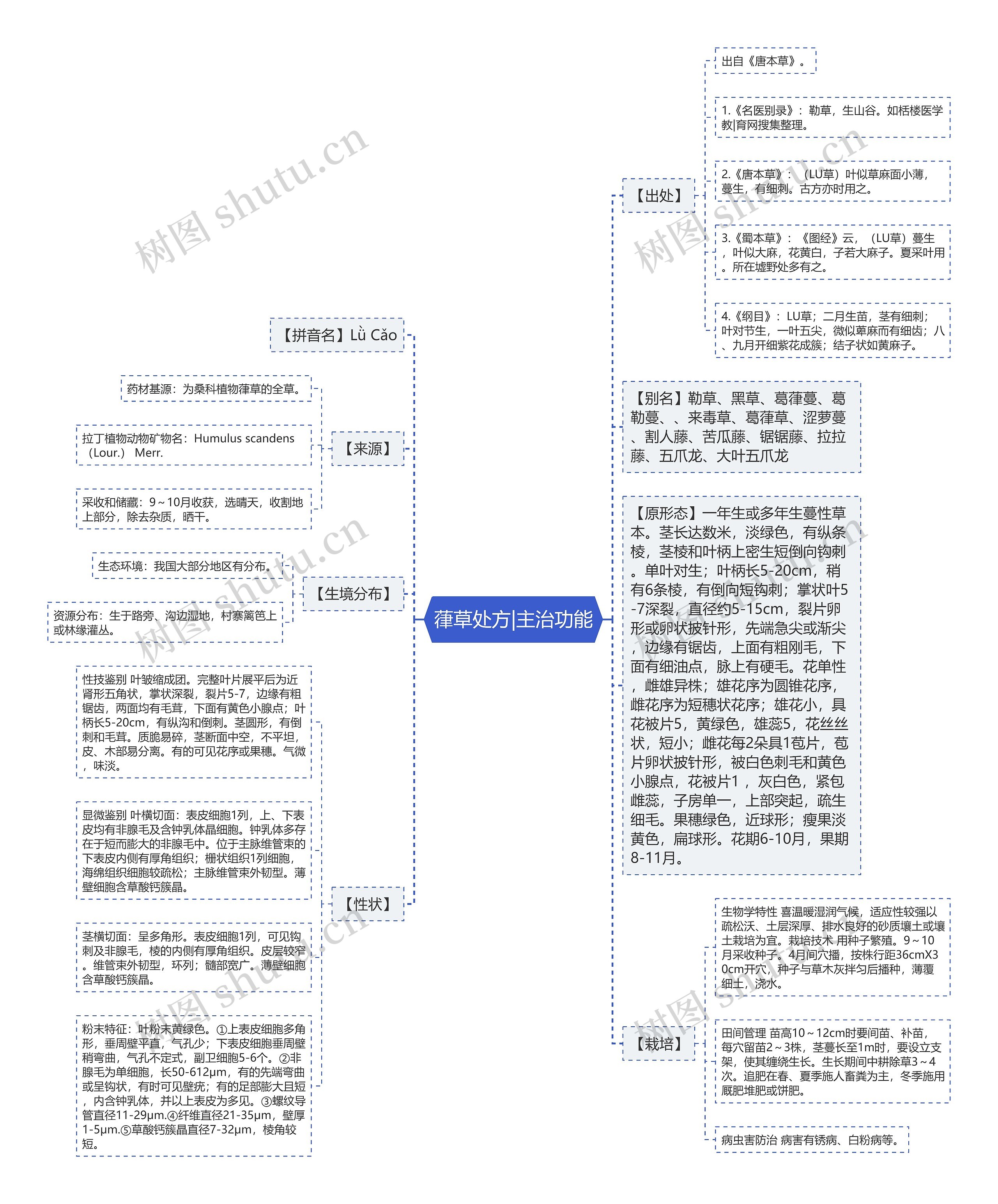 葎草处方|主治功能思维导图