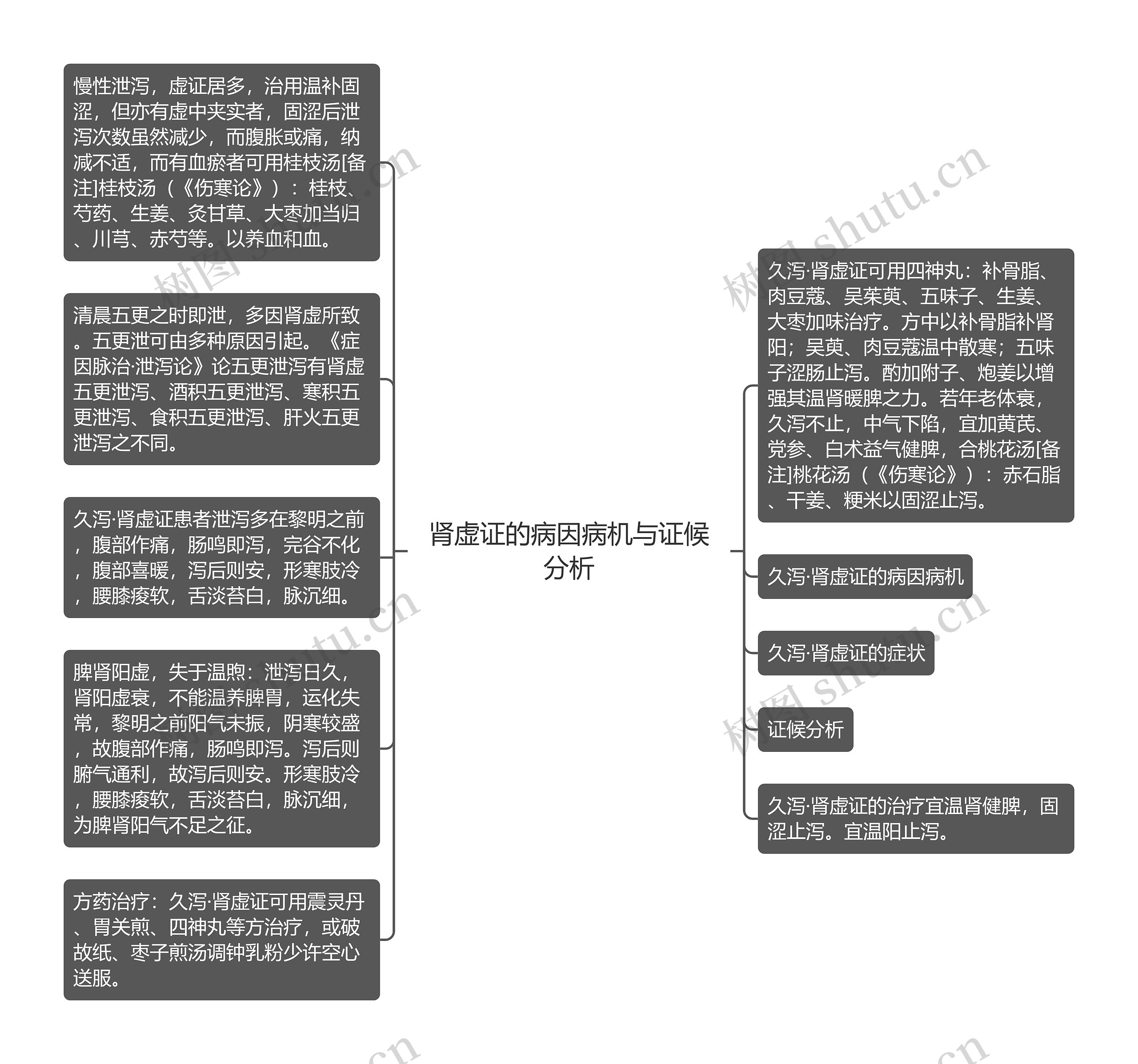 肾虚证的病因病机与证候分析思维导图