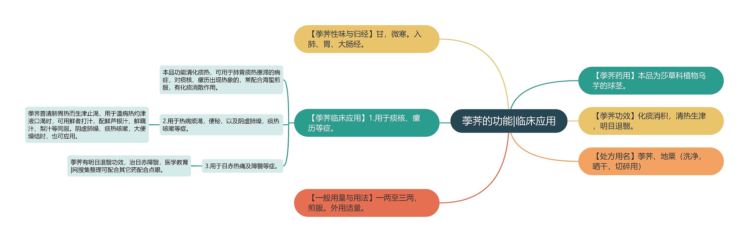 荸荠的功能|临床应用思维导图