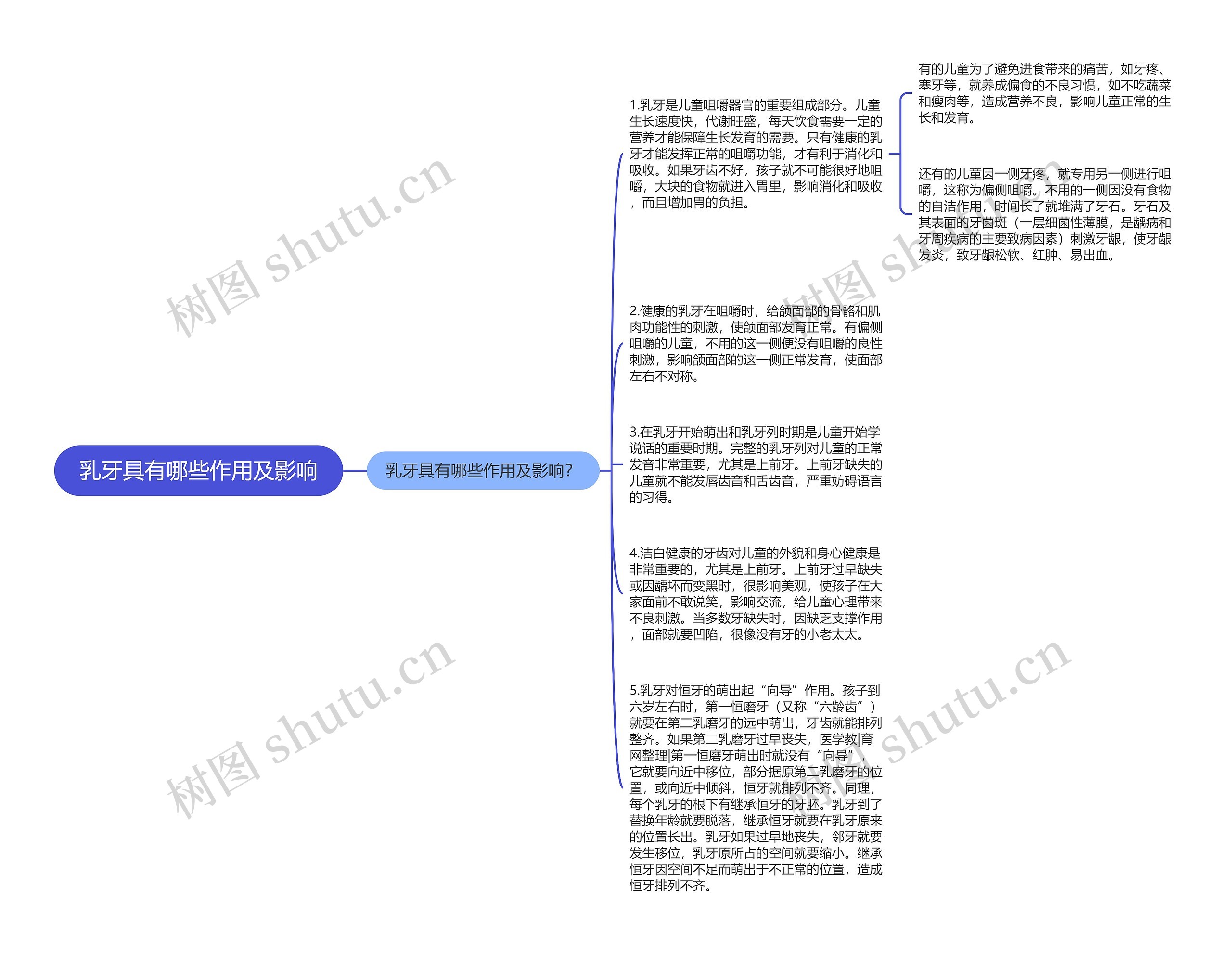 乳牙具有哪些作用及影响思维导图