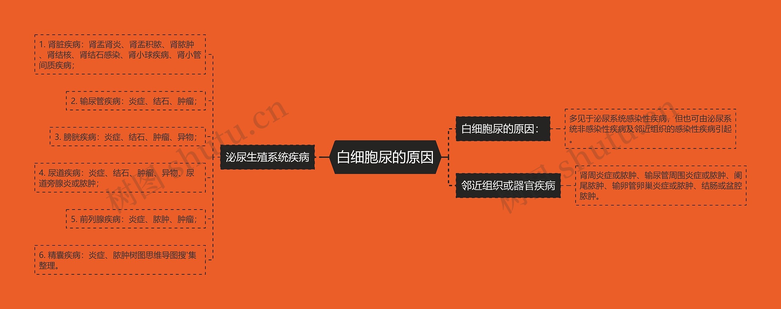 白细胞尿的原因思维导图