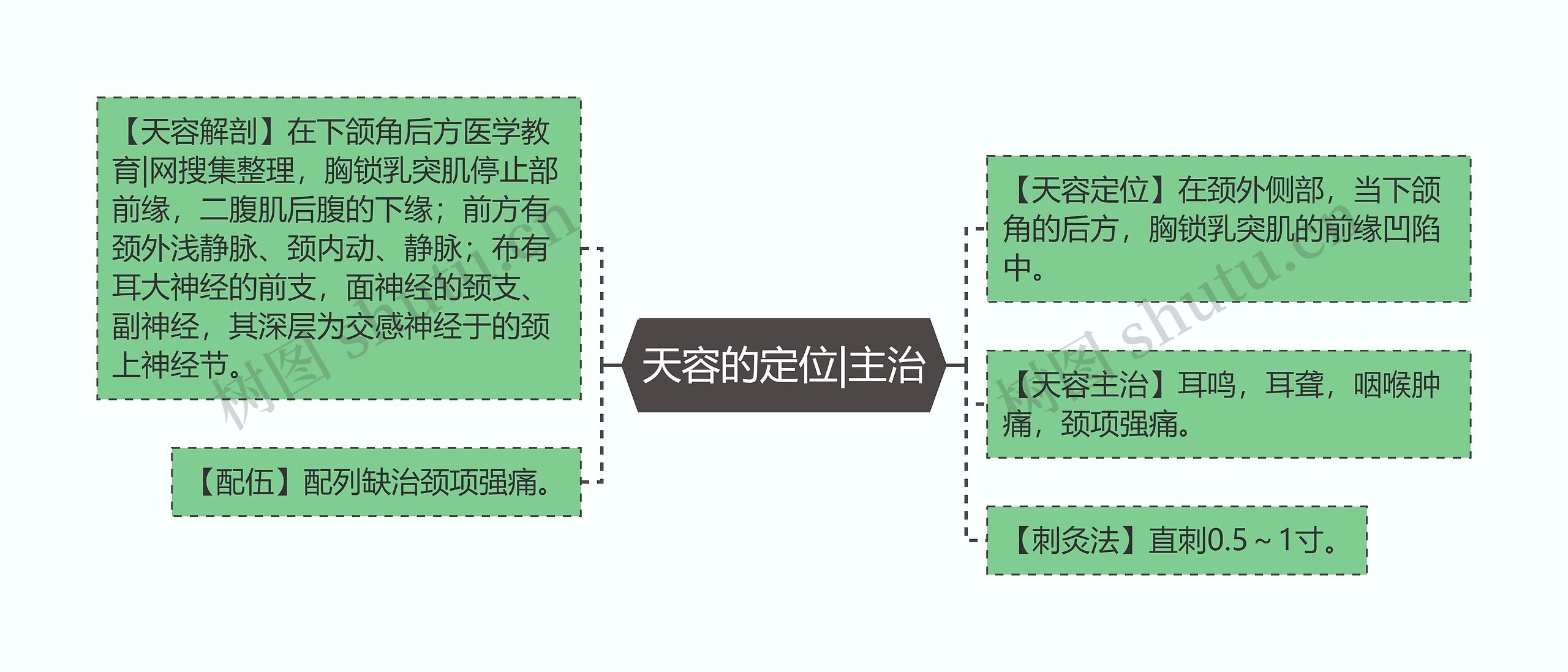 天容的定位|主治