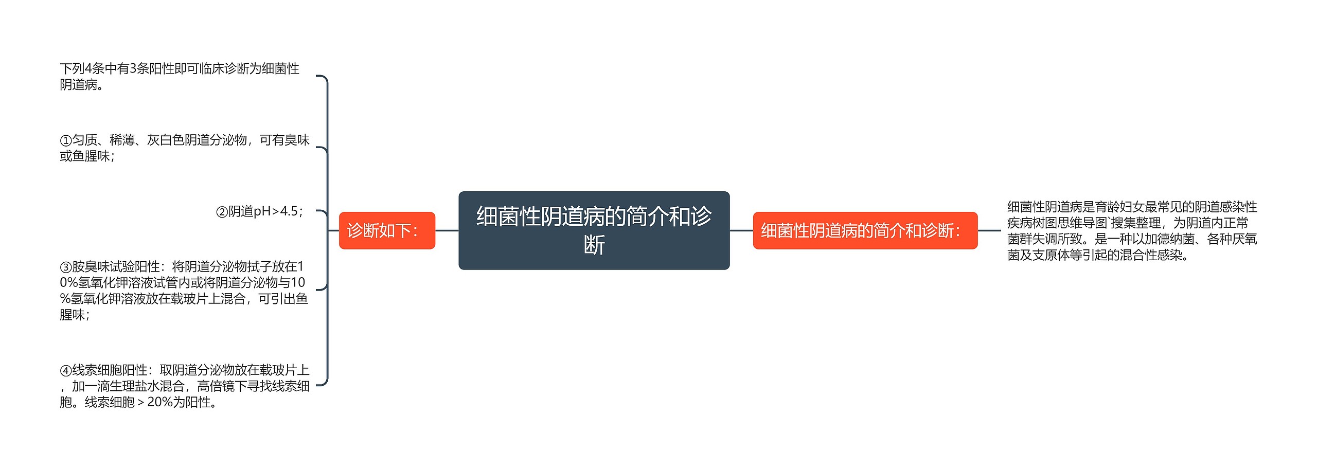 细菌性阴道病的简介和诊断