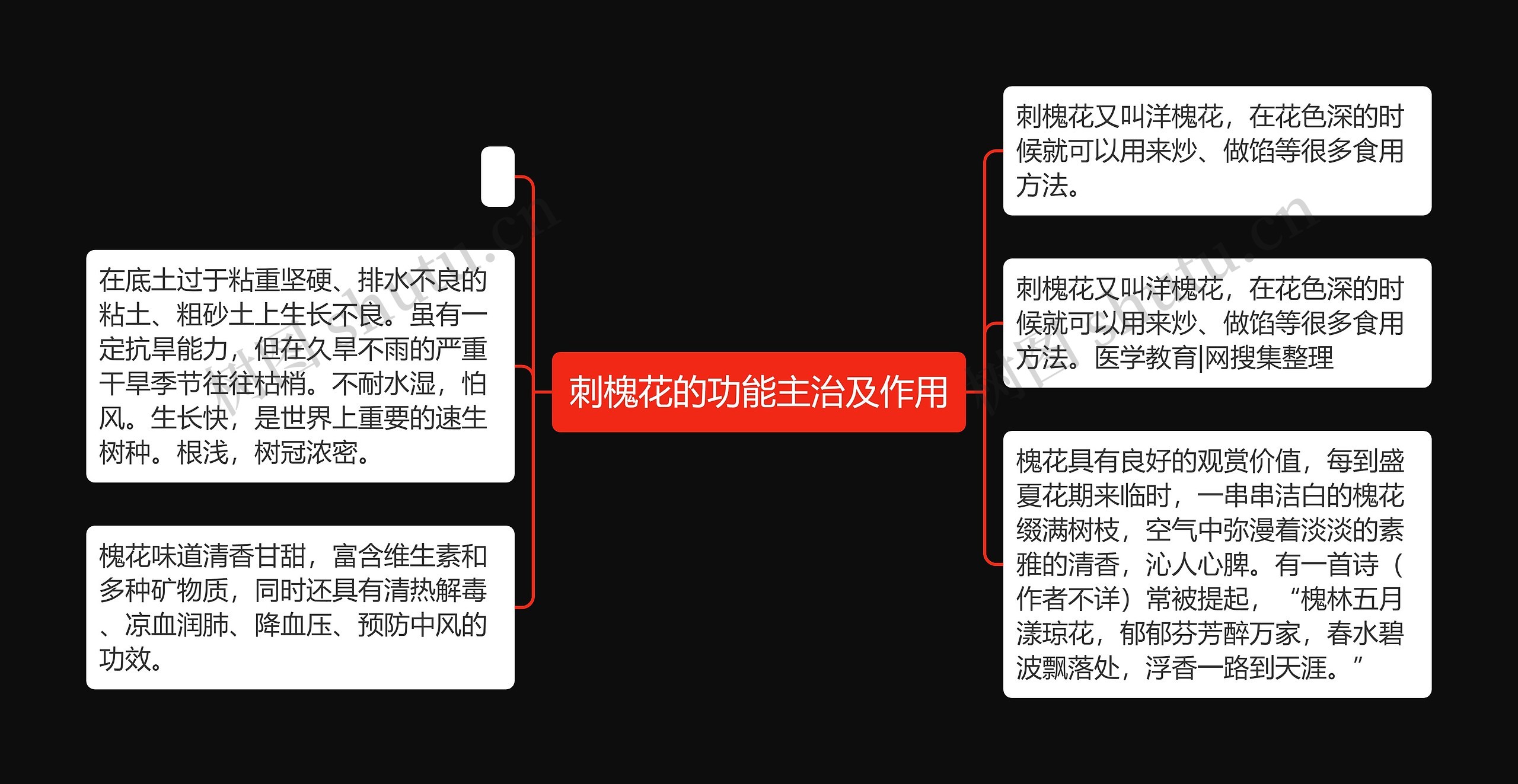 刺槐花的功能主治及作用 刺槐花的功能主治及作用