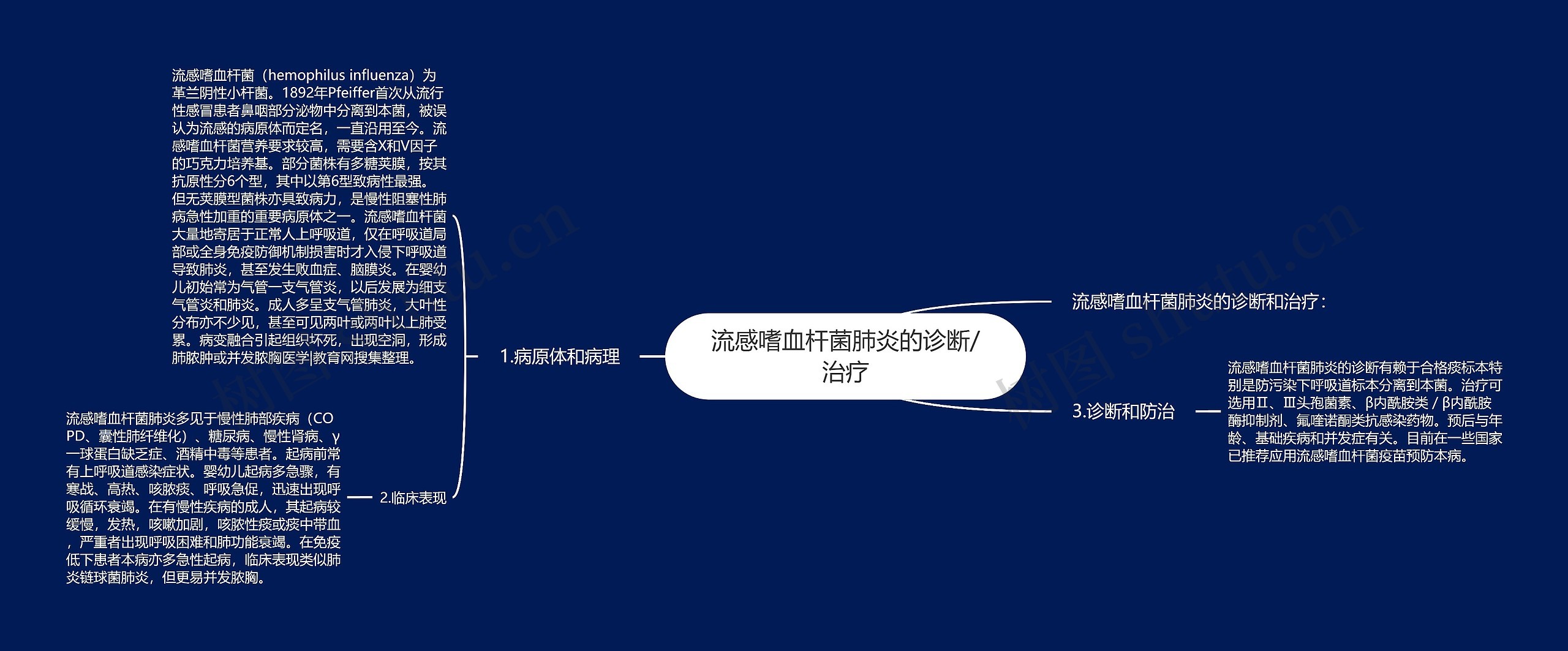流感嗜血杆菌肺炎的诊断/治疗 流感嗜血杆菌肺炎的诊断/治疗