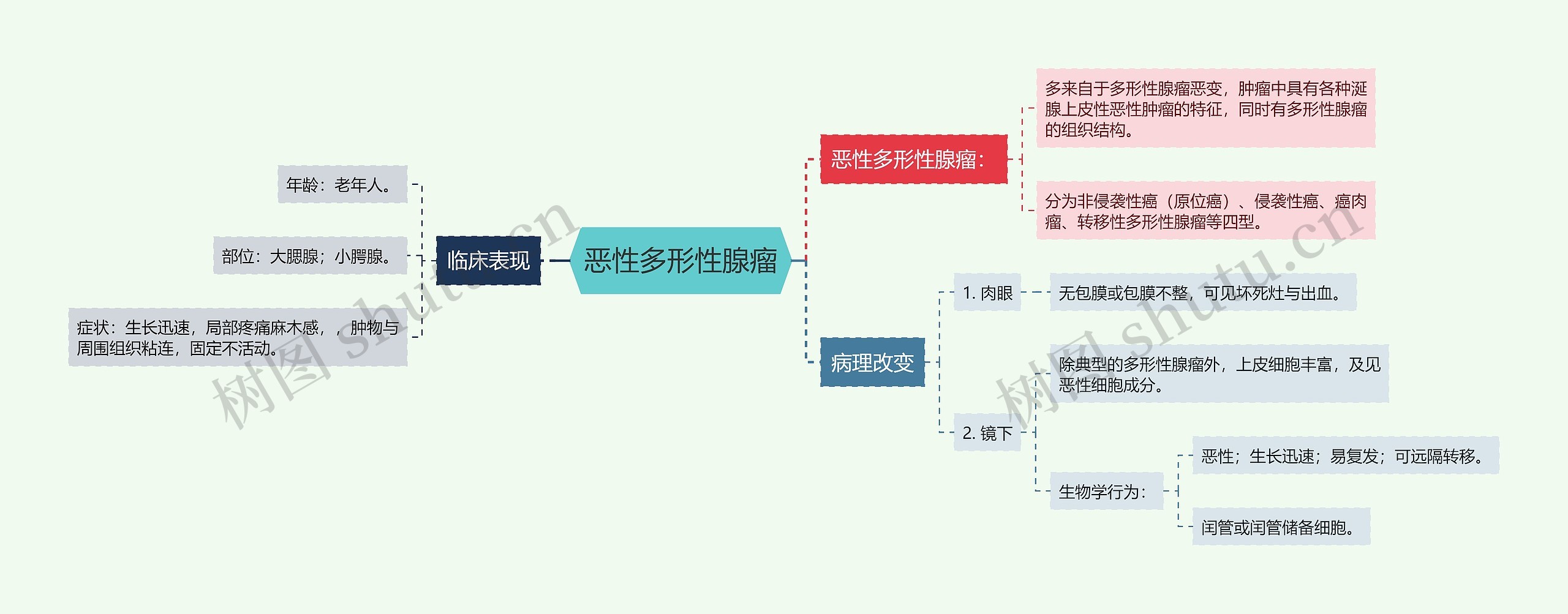 恶性多形性腺瘤思维导图