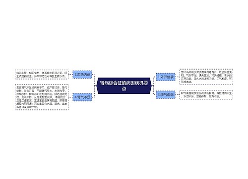 肾病综合征的病因病机要点