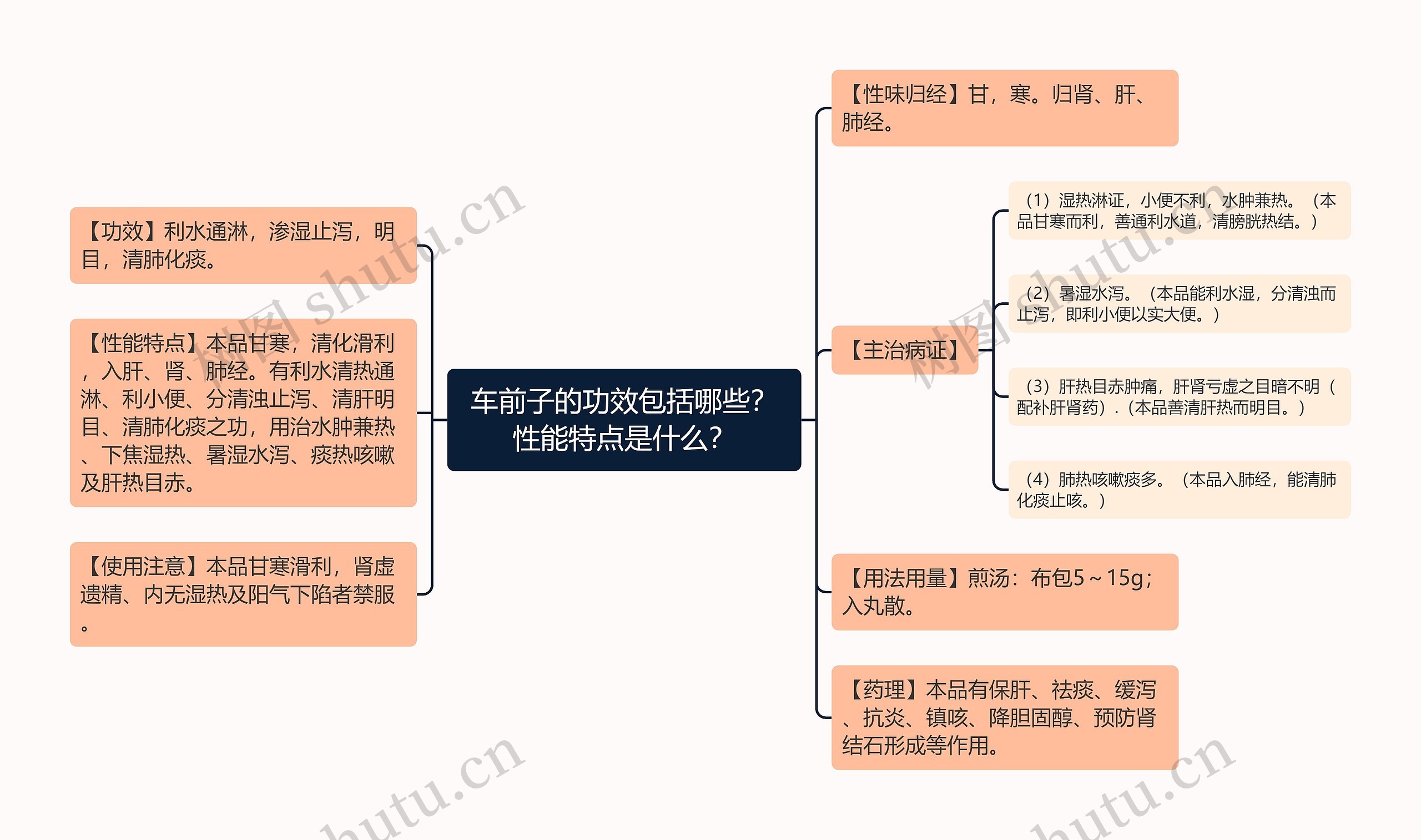 车前子的功效包括哪些？性能特点是什么？思维导图