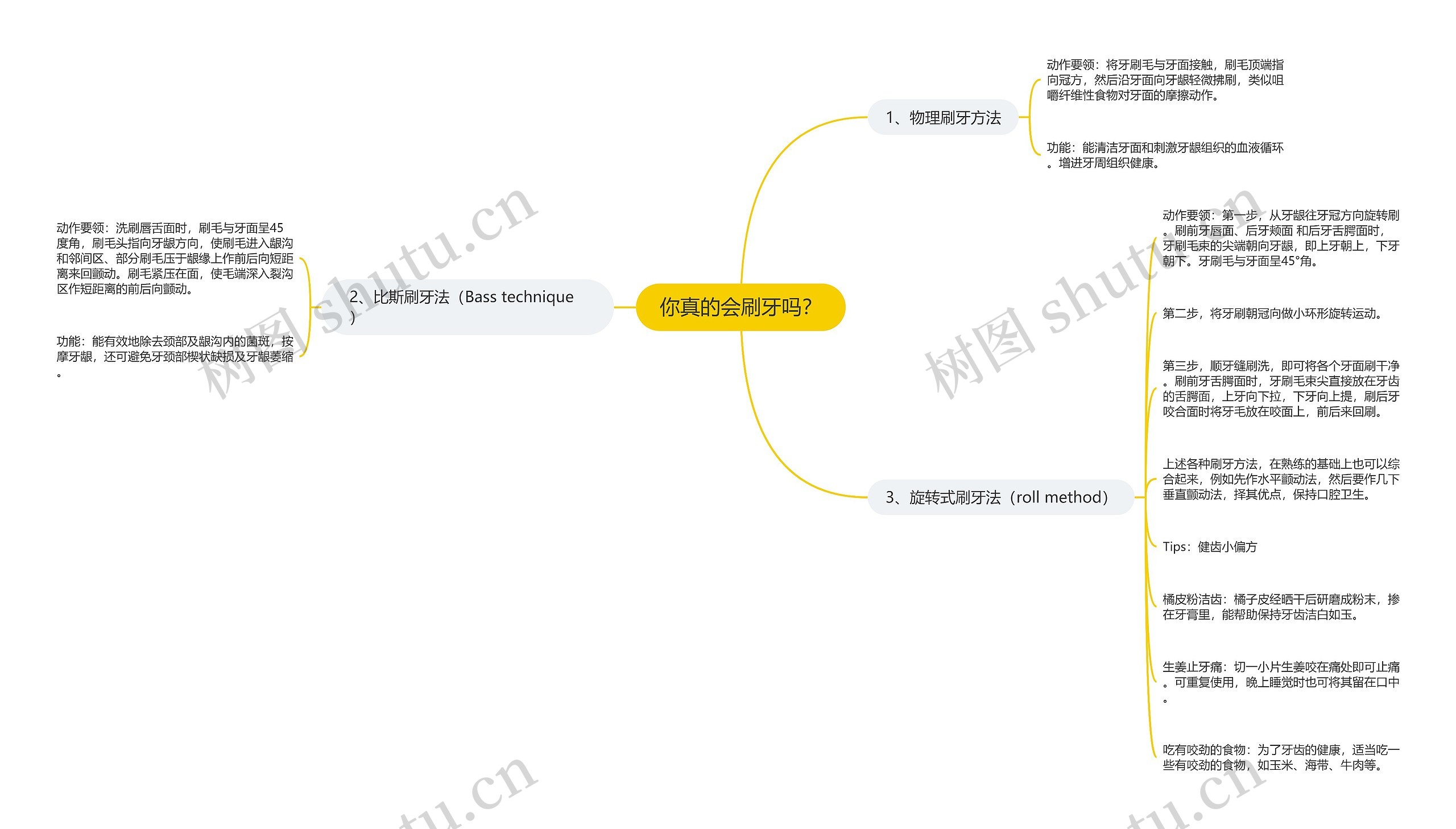 你真的会刷牙吗？思维导图