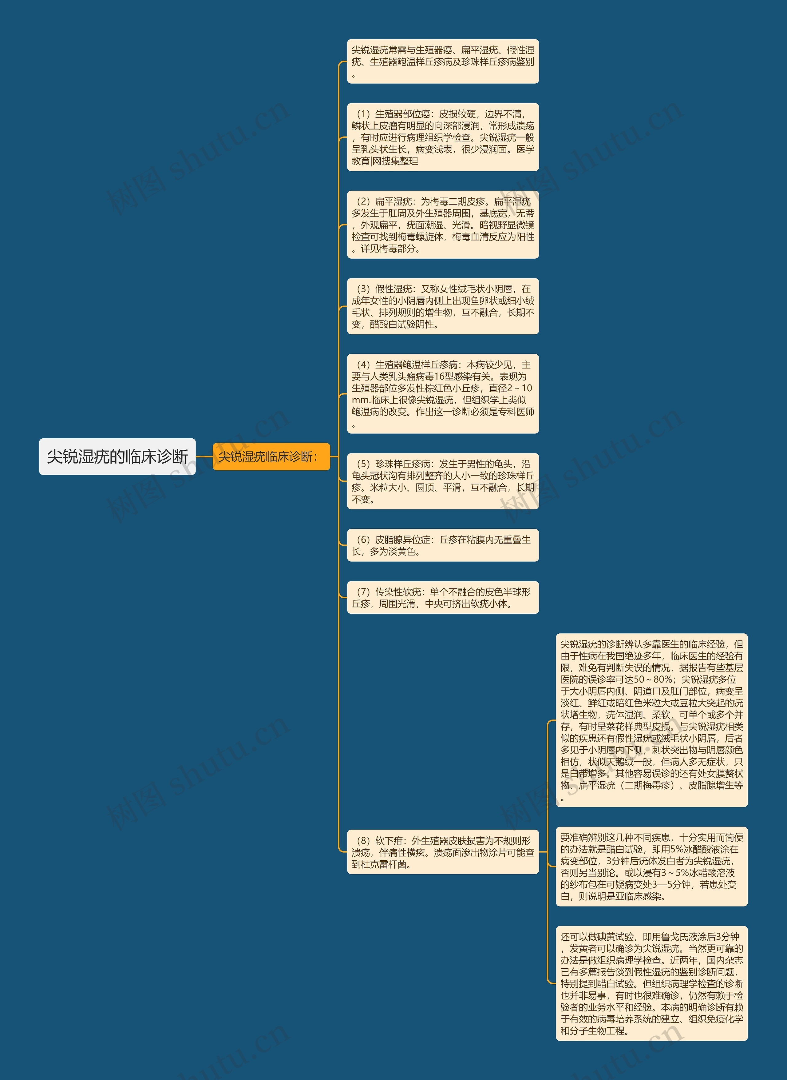 尖锐湿疣的临床诊断