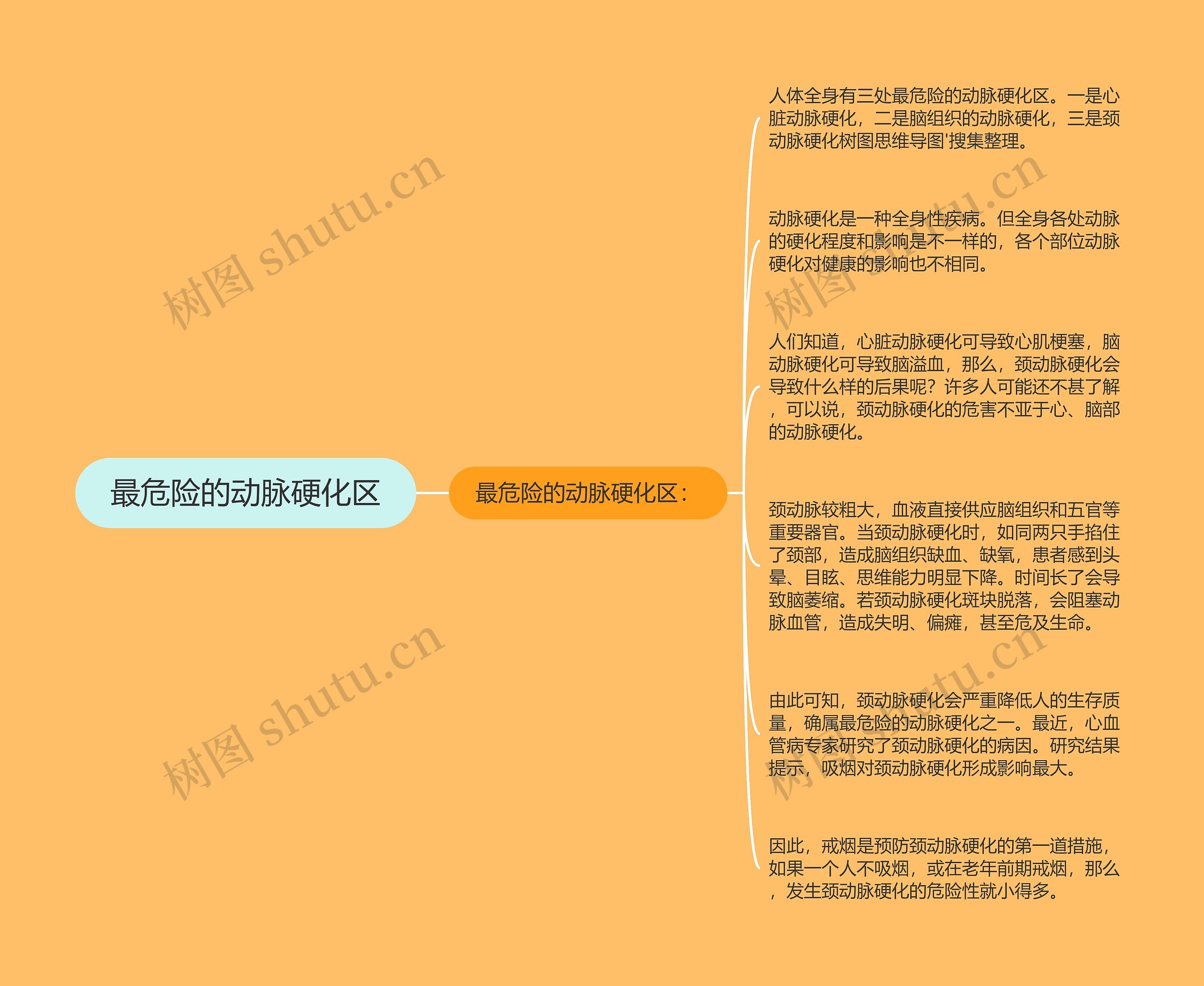 最危险的动脉硬化区 最危险的动脉硬化区