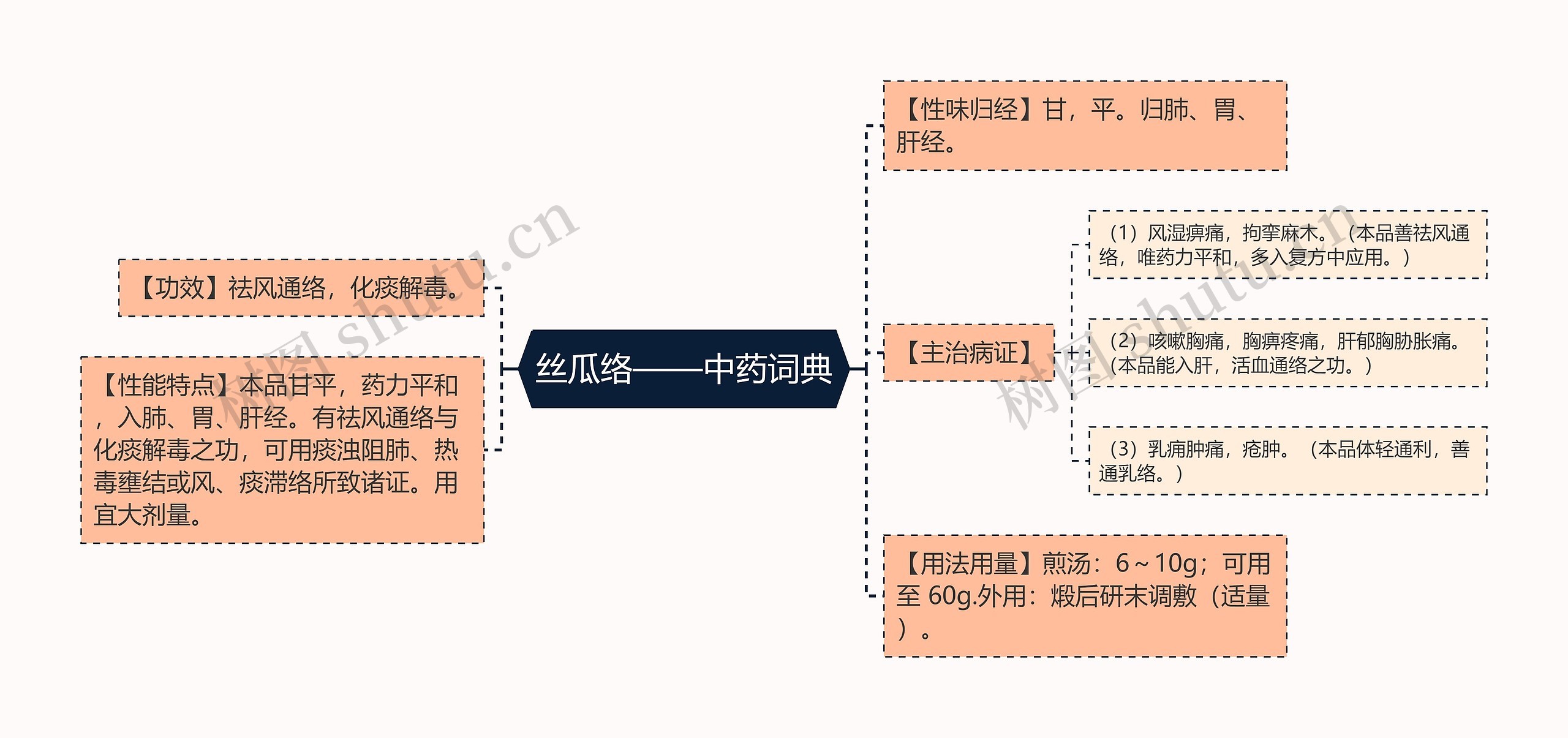 丝瓜络——中药词典思维导图