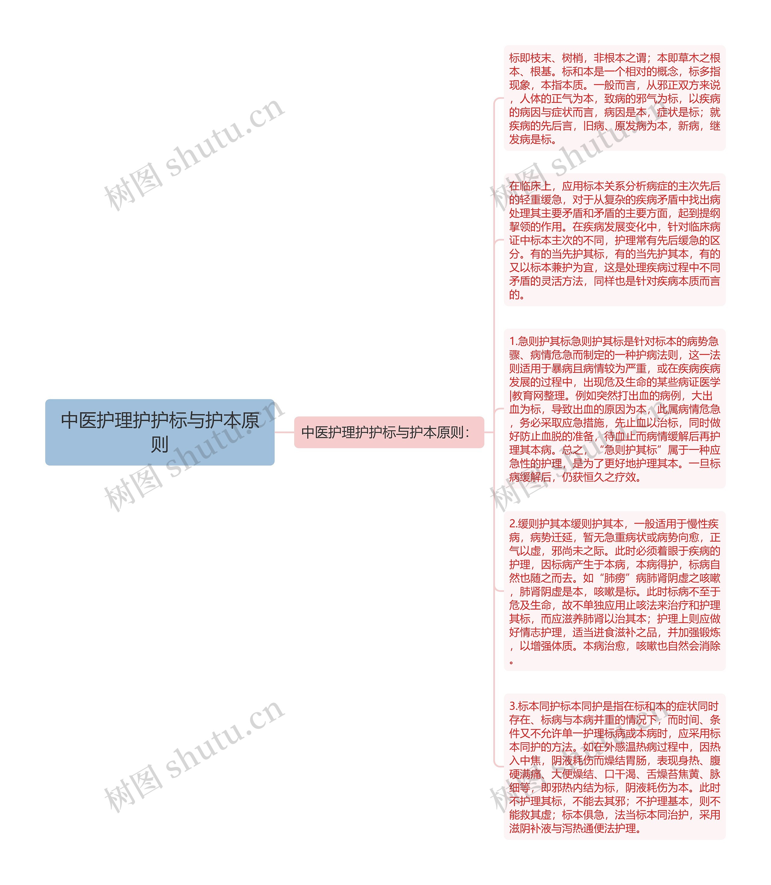 中医护理护护标与护本原则思维导图