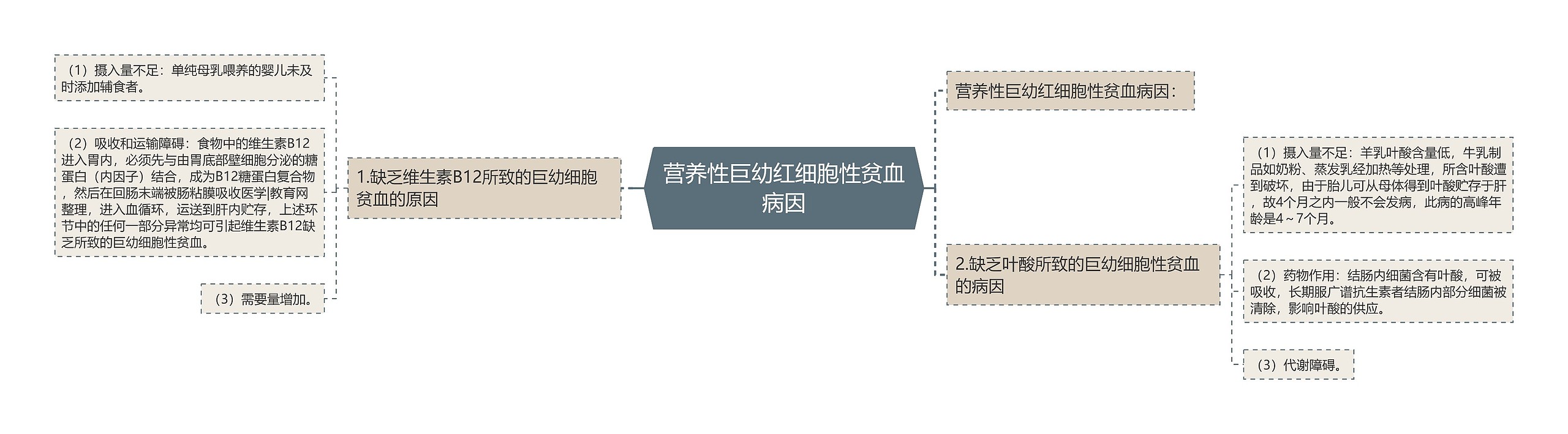 营养性巨幼红细胞性贫血病因