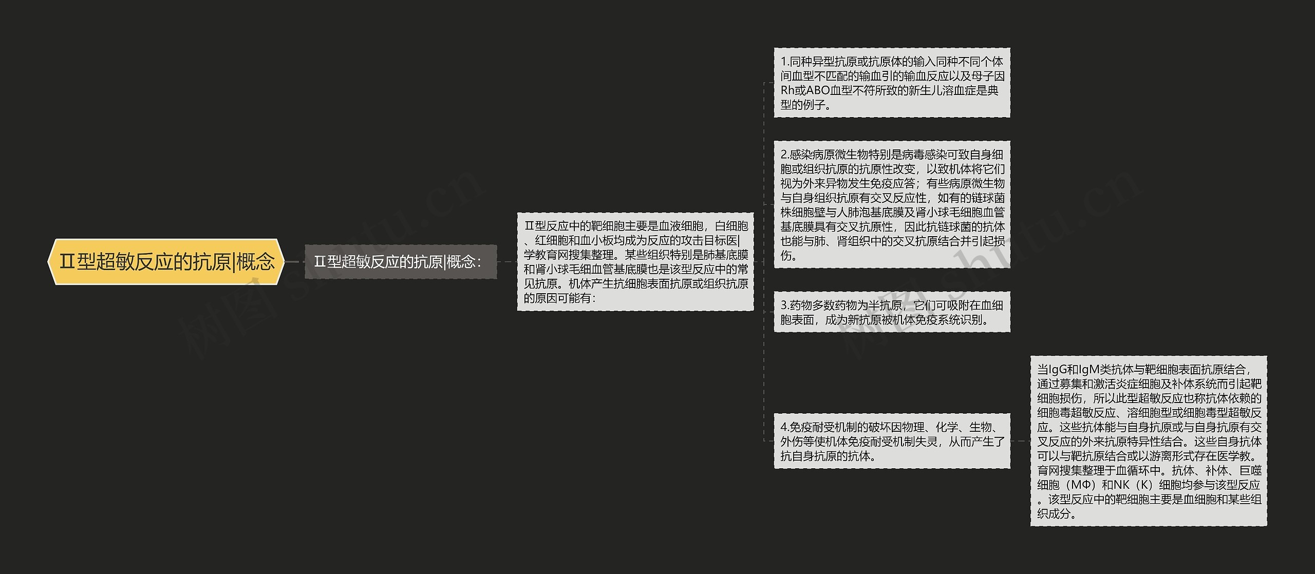 Ⅱ型超敏反应的抗原|概念