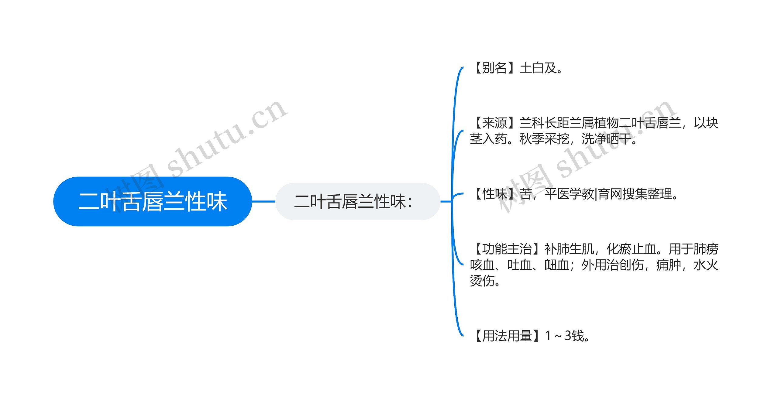 二叶舌唇兰性味思维导图