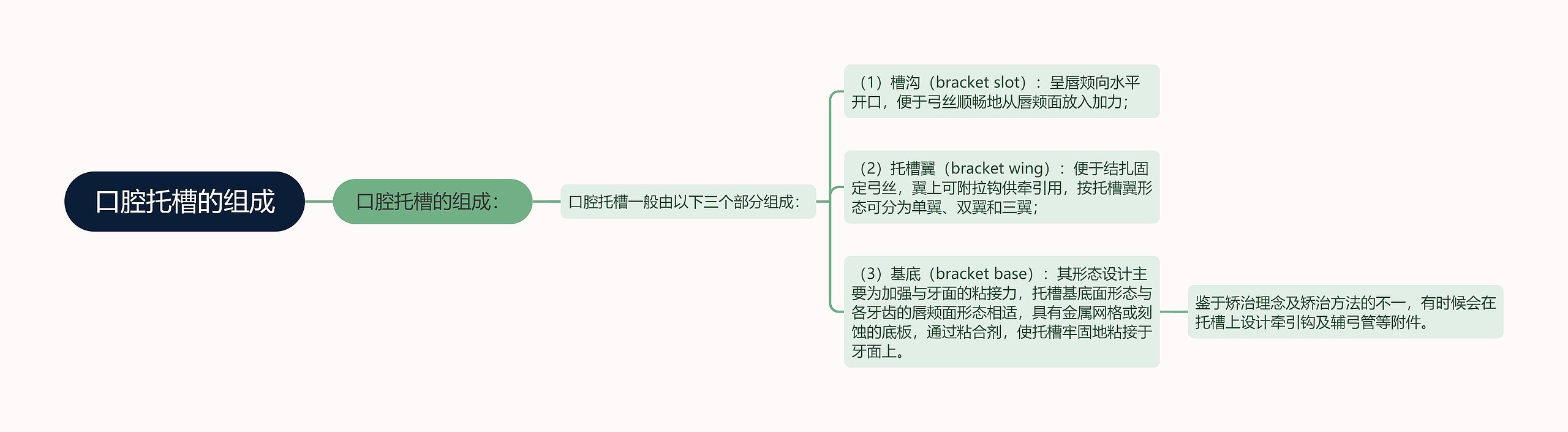 口腔托槽的组成 口腔托槽的组成