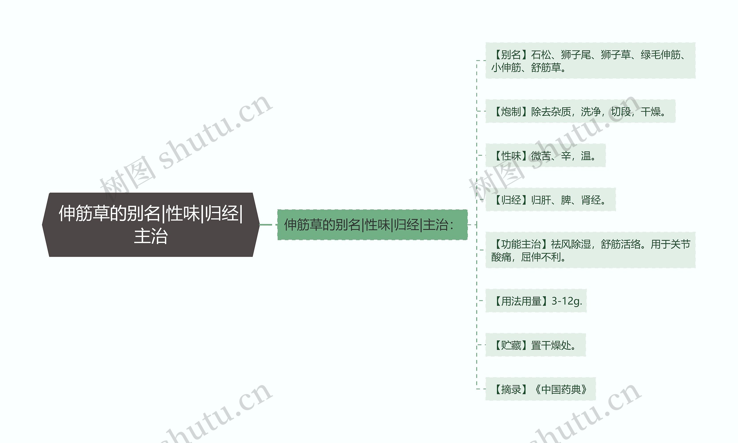 伸筋草的别名|性味|归经|主治思维导图