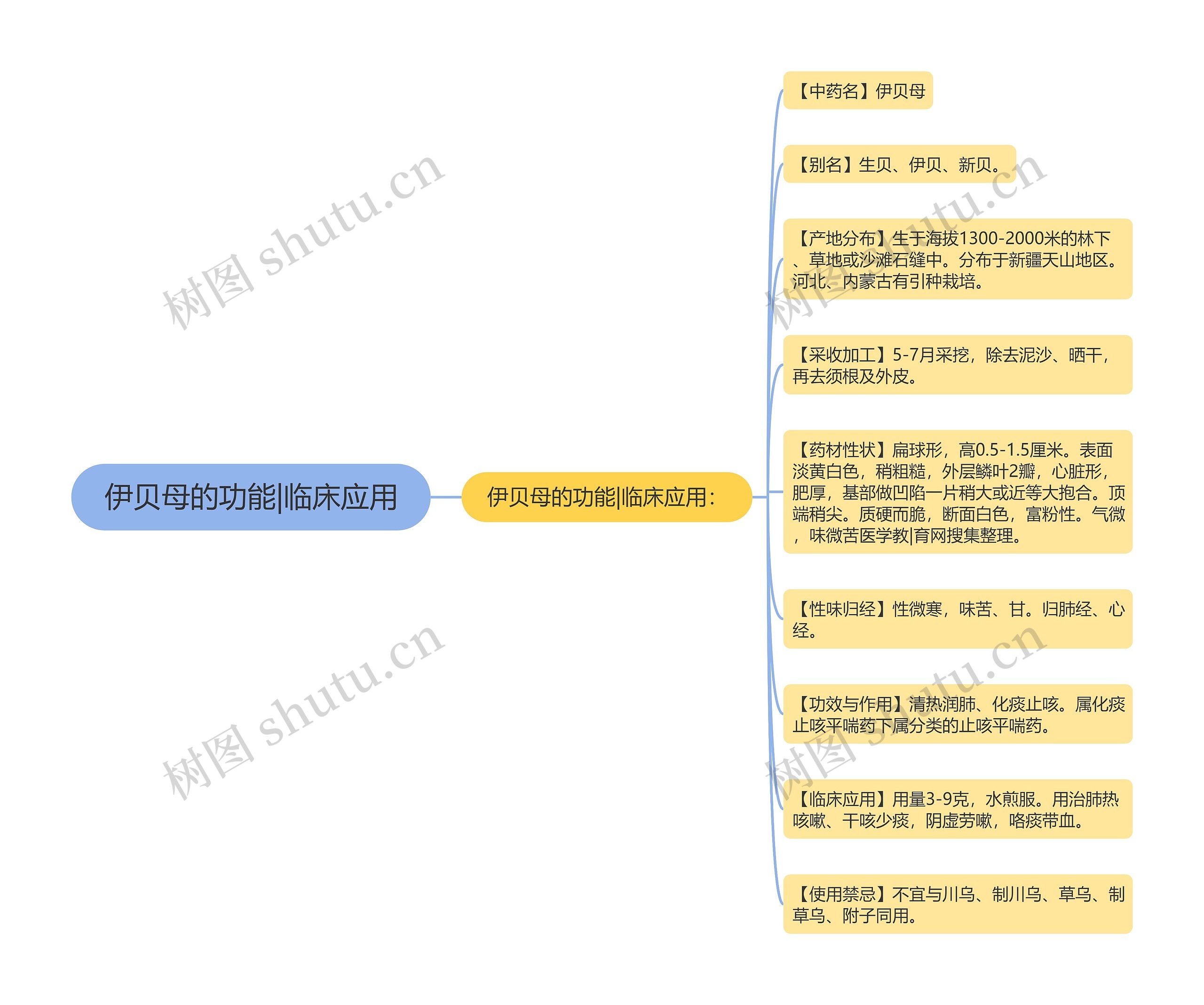 伊贝母的功能|临床应用思维导图